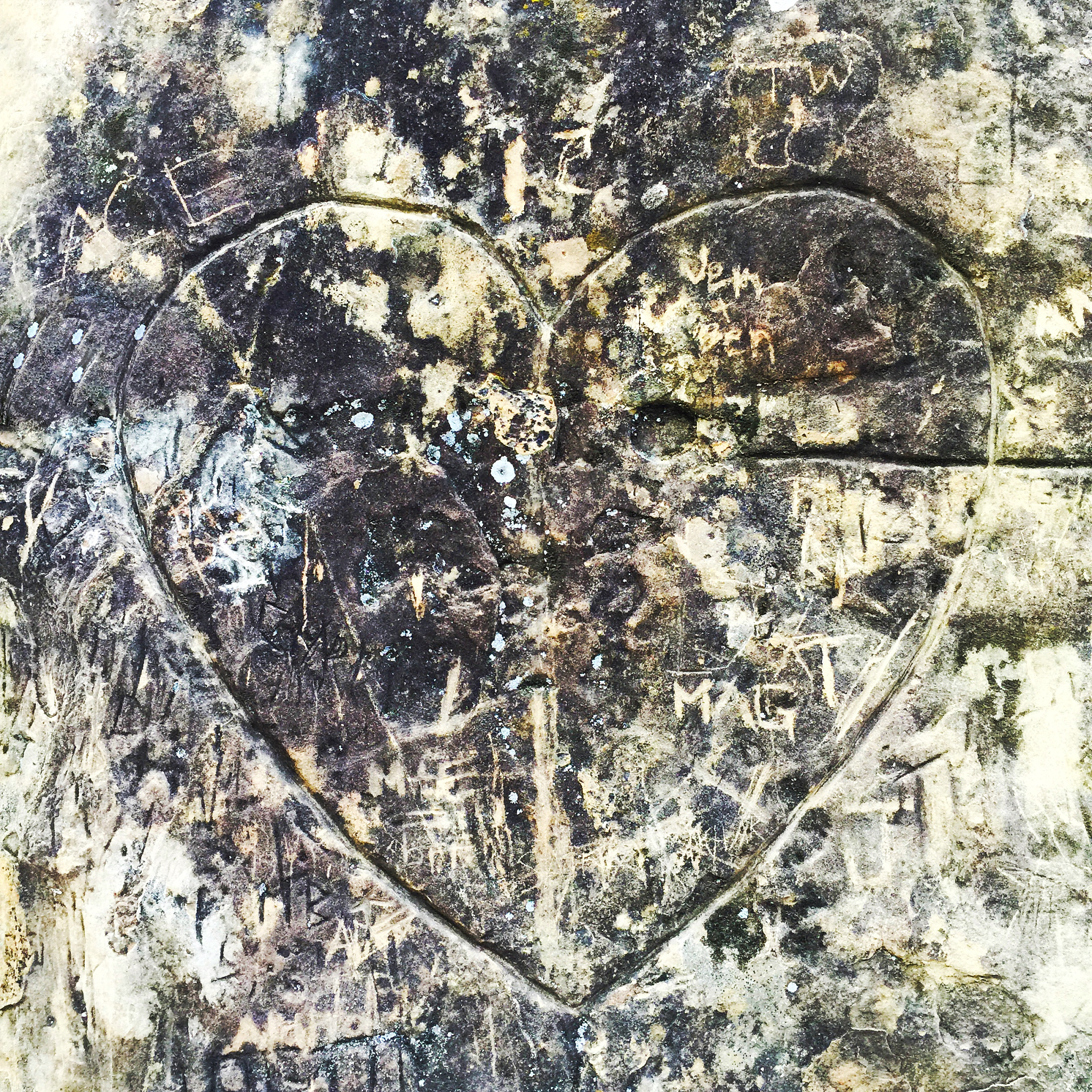 绘画中的肌理：语言、情感符号与艺术表达