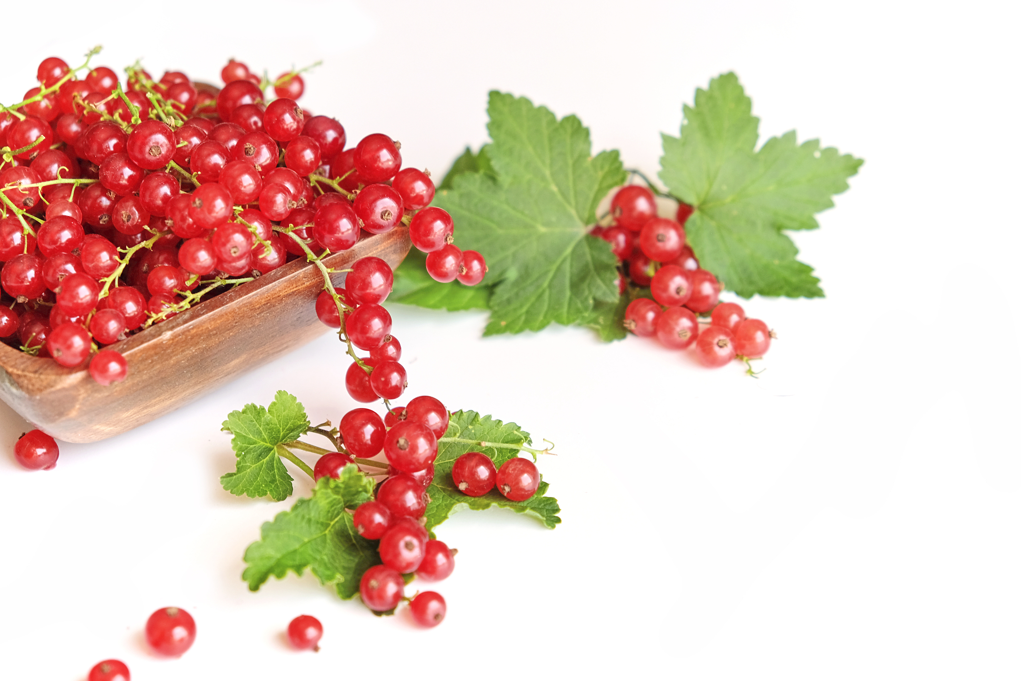 fresh red currant in a wooden bowl isolated on white background.