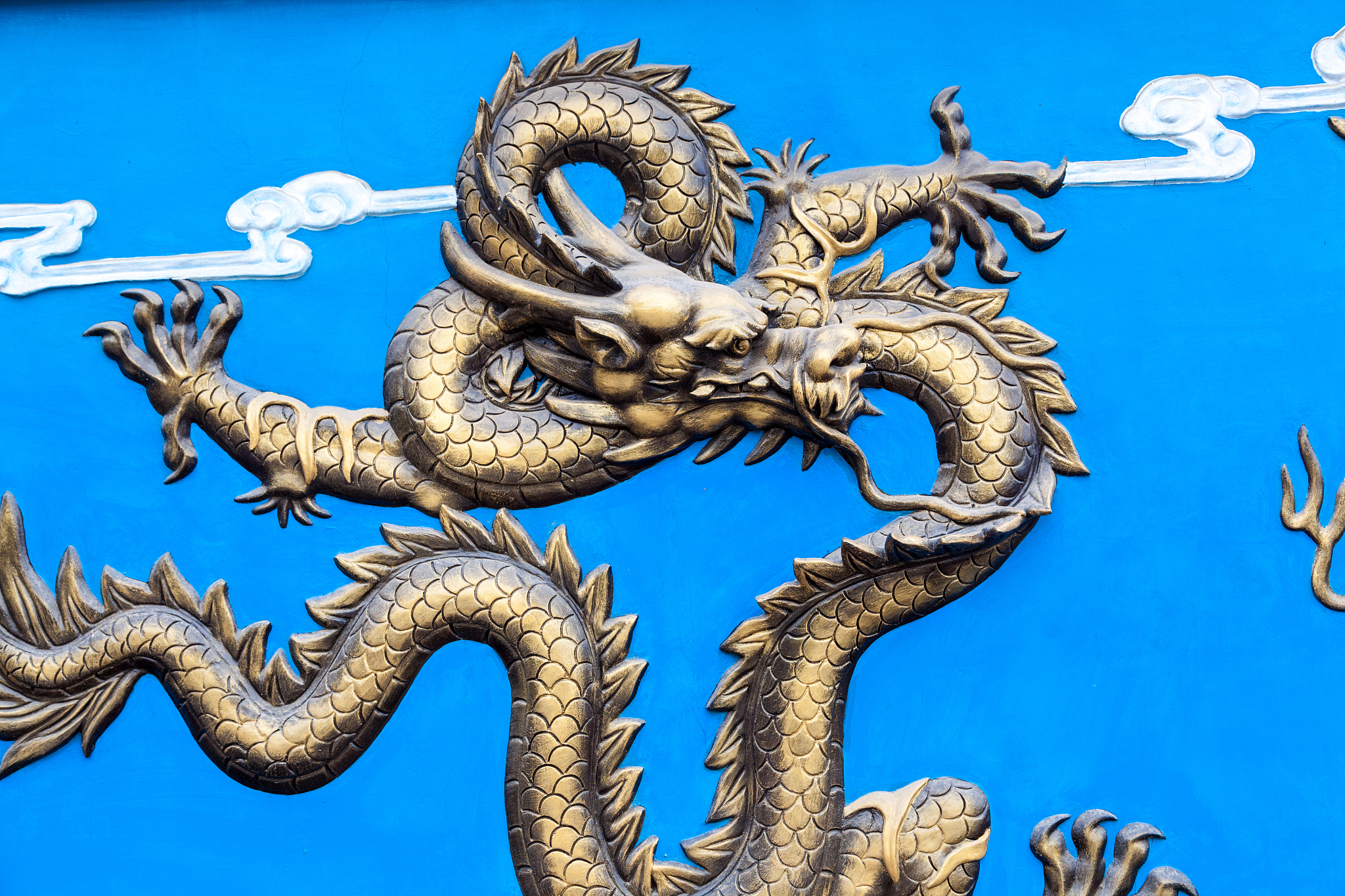 dragon