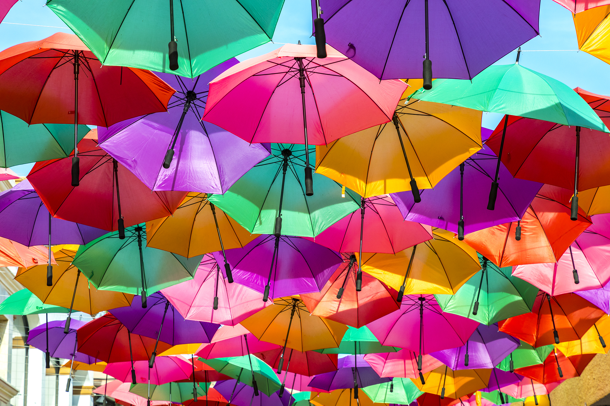 la paz umbrellas