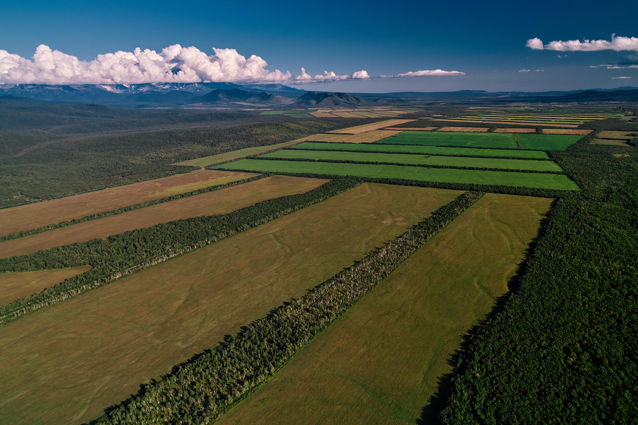 aerial view of farm fields valley in the kamchatka in russia. ag