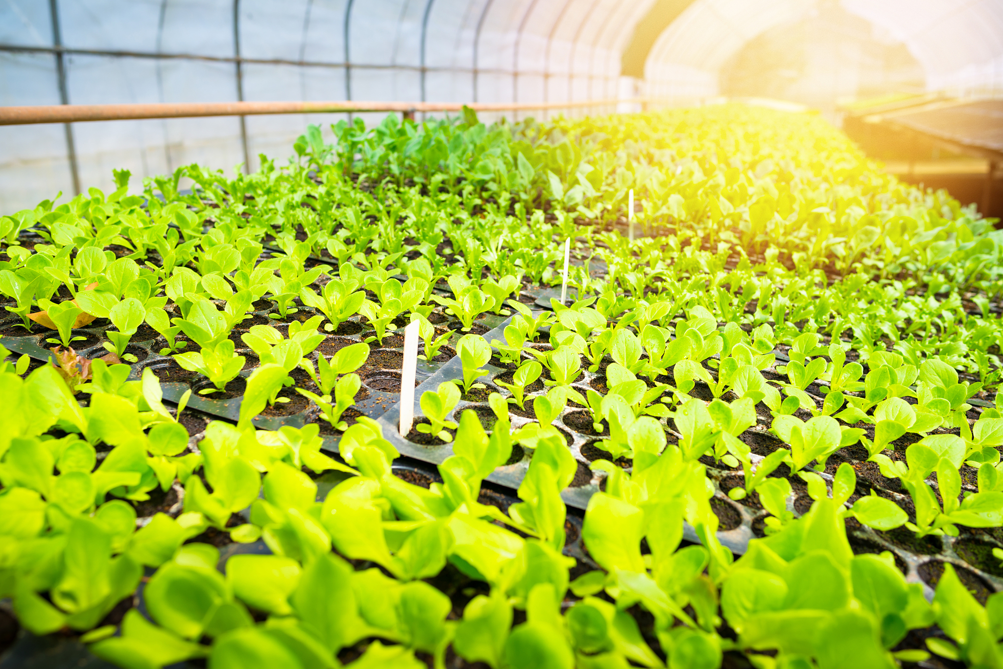 曲靖农业学校2023年初中起点招生专业