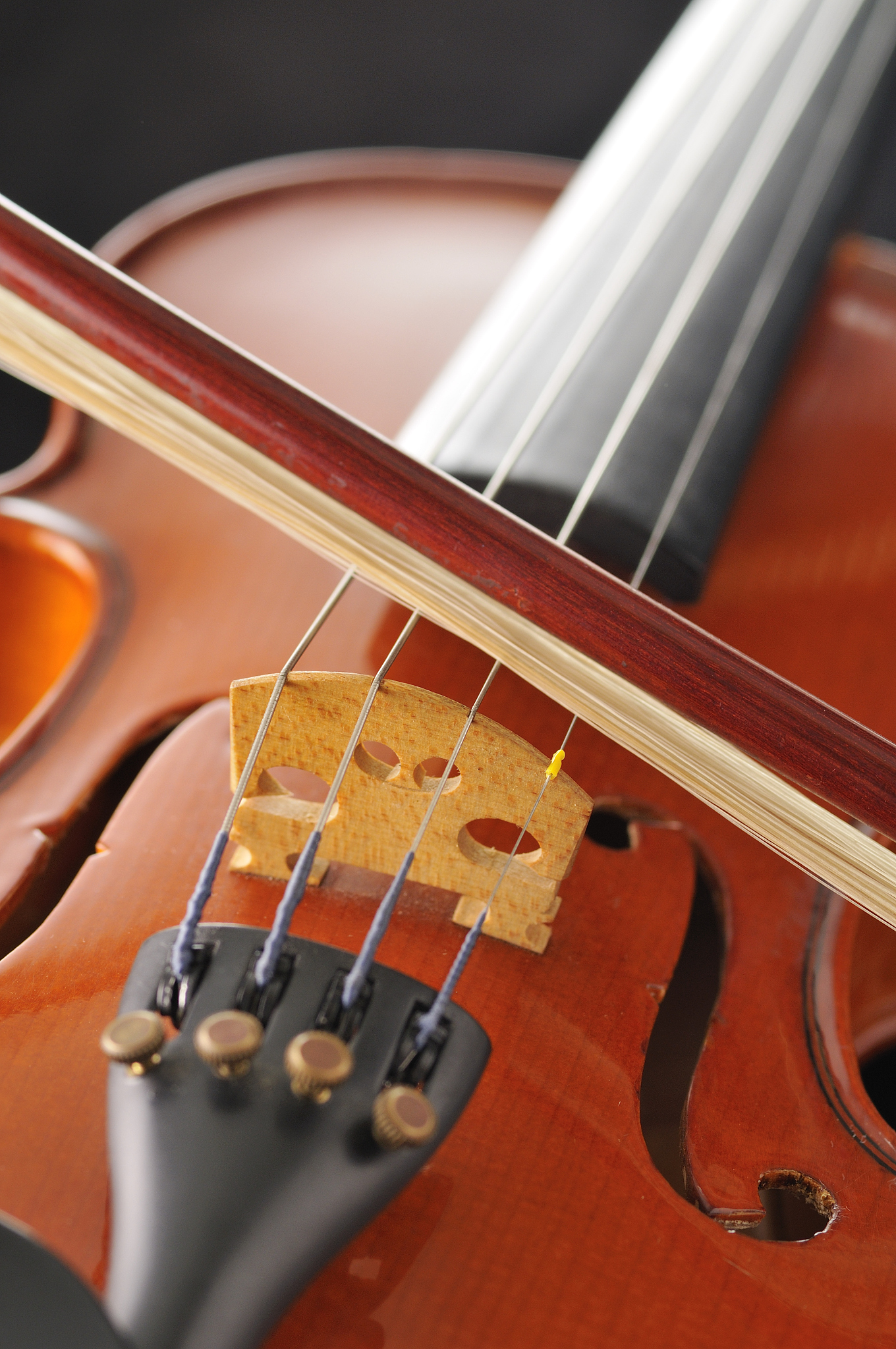 淄博师范高等专科学校音乐教育专业好就业吗