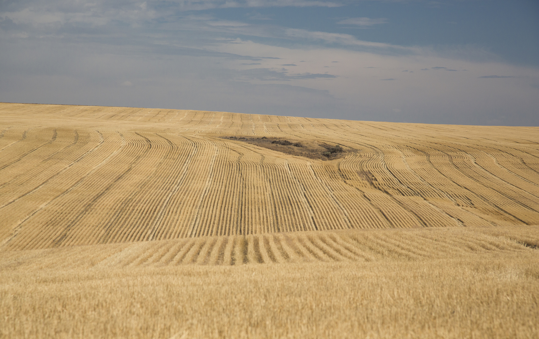 写一篇关于延安秦源煤业公司成本管理问题及对策的研究成果。