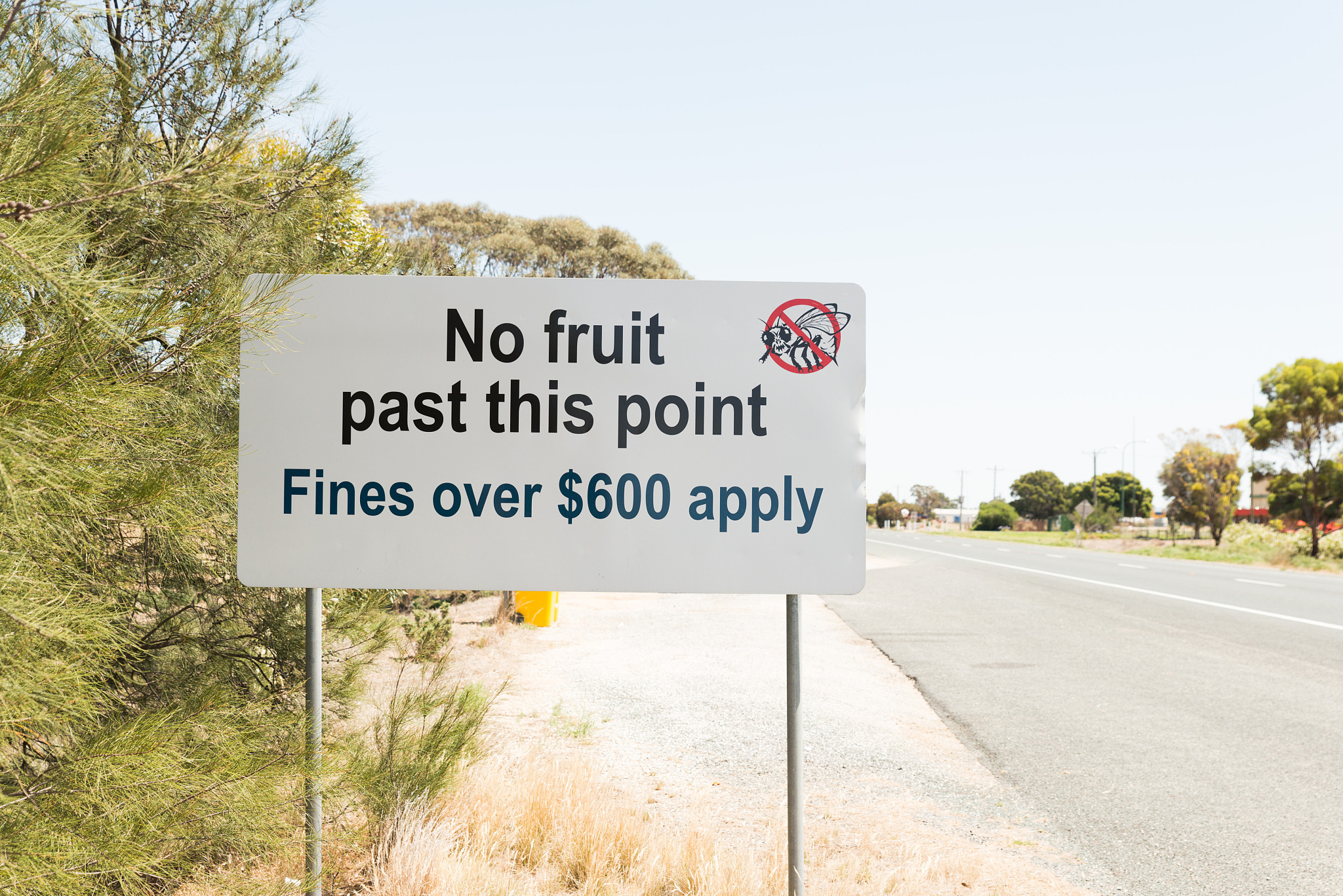 Wander vs. Walk Around: What's the Difference?