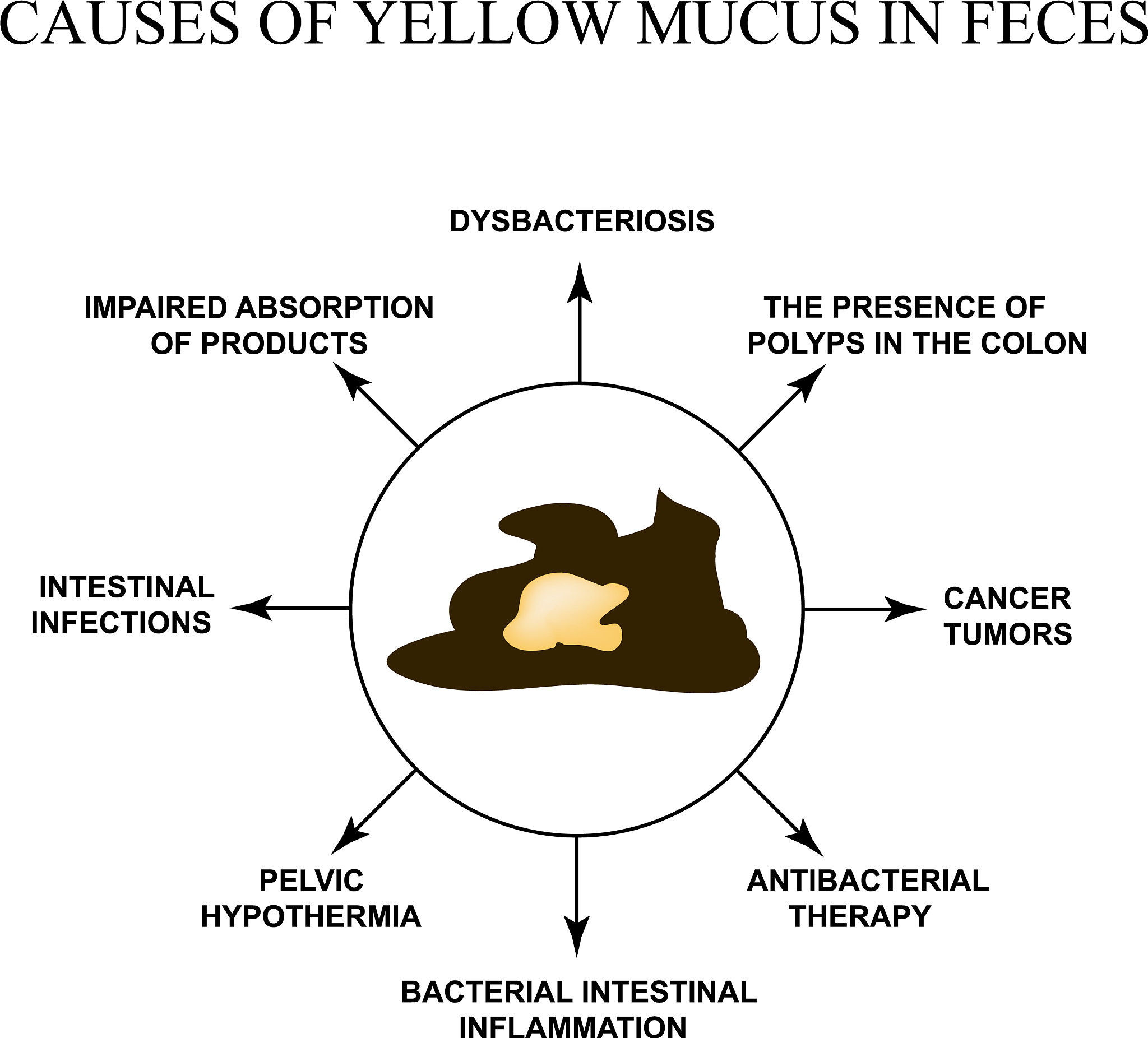填空这道题： Cats of all kinds are present in the legends religion mythology and history of 0 ____________ different cultures Cave paintings created by early humans display different types of wild cats 39 _