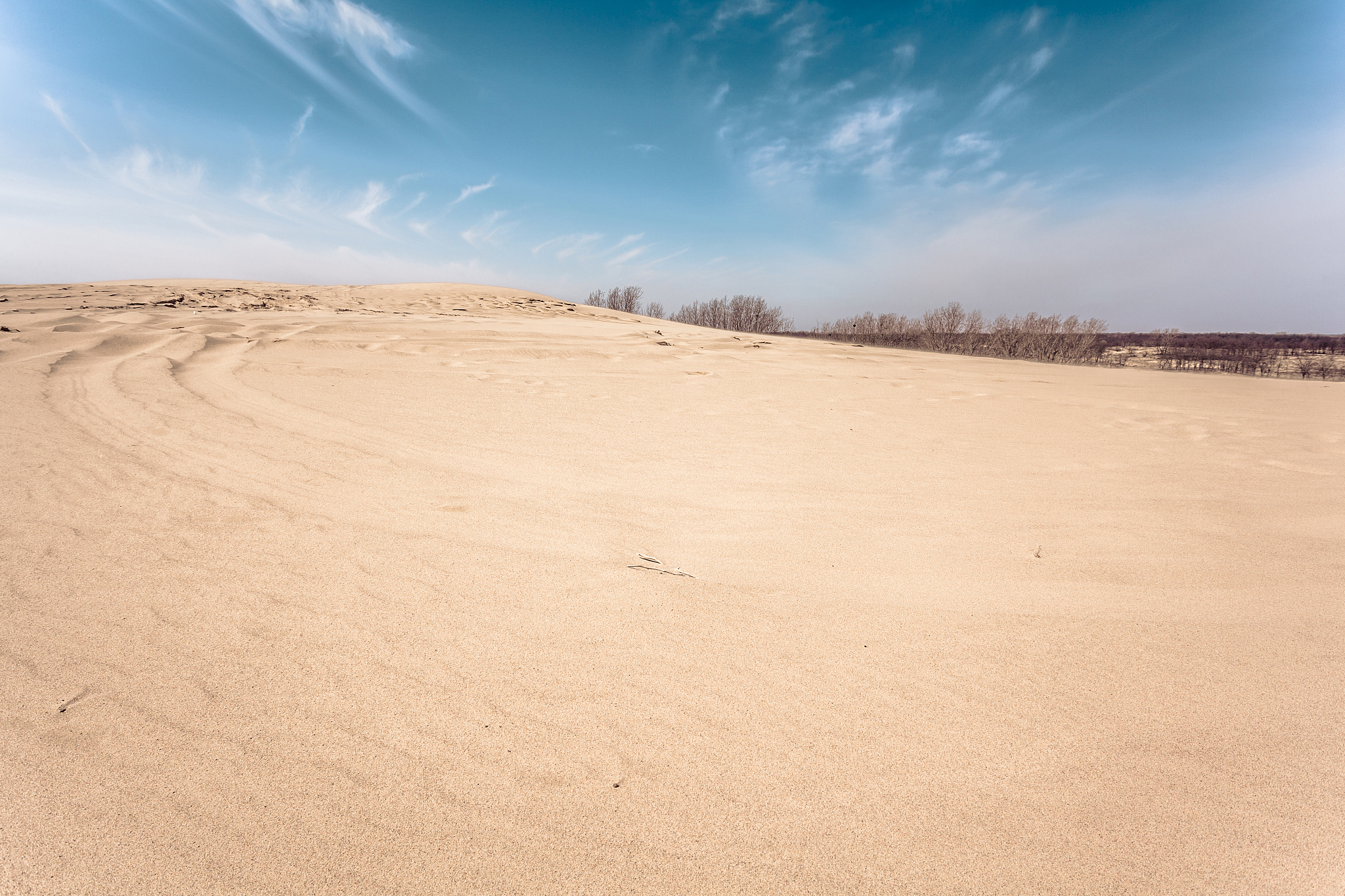 seaside desert, hebei, china