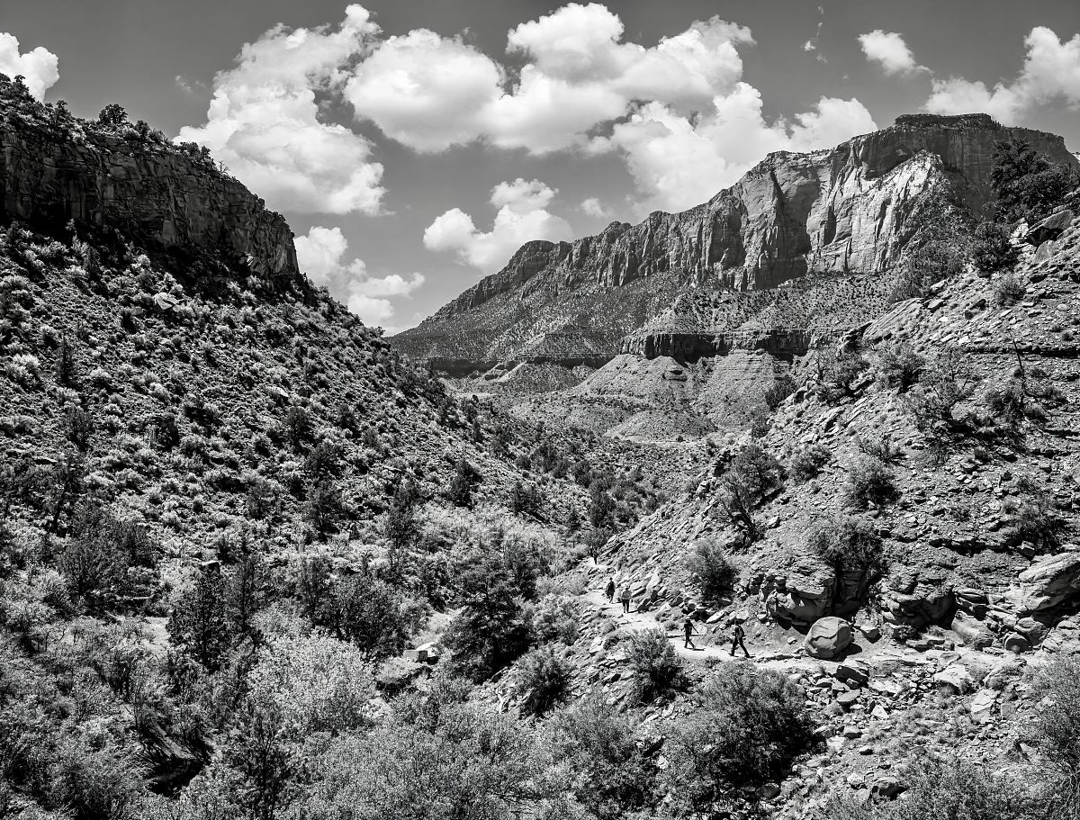 黄河护卫队队名：诗意与力量的融合