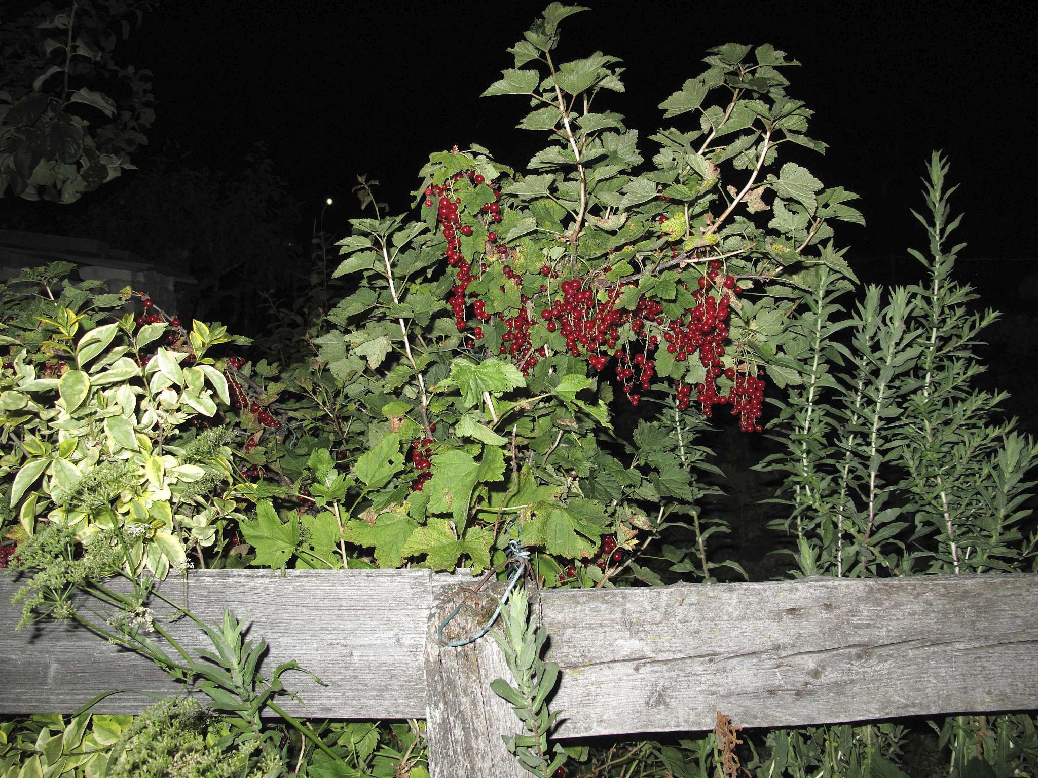 【重要確認】マーケティング活動予算について