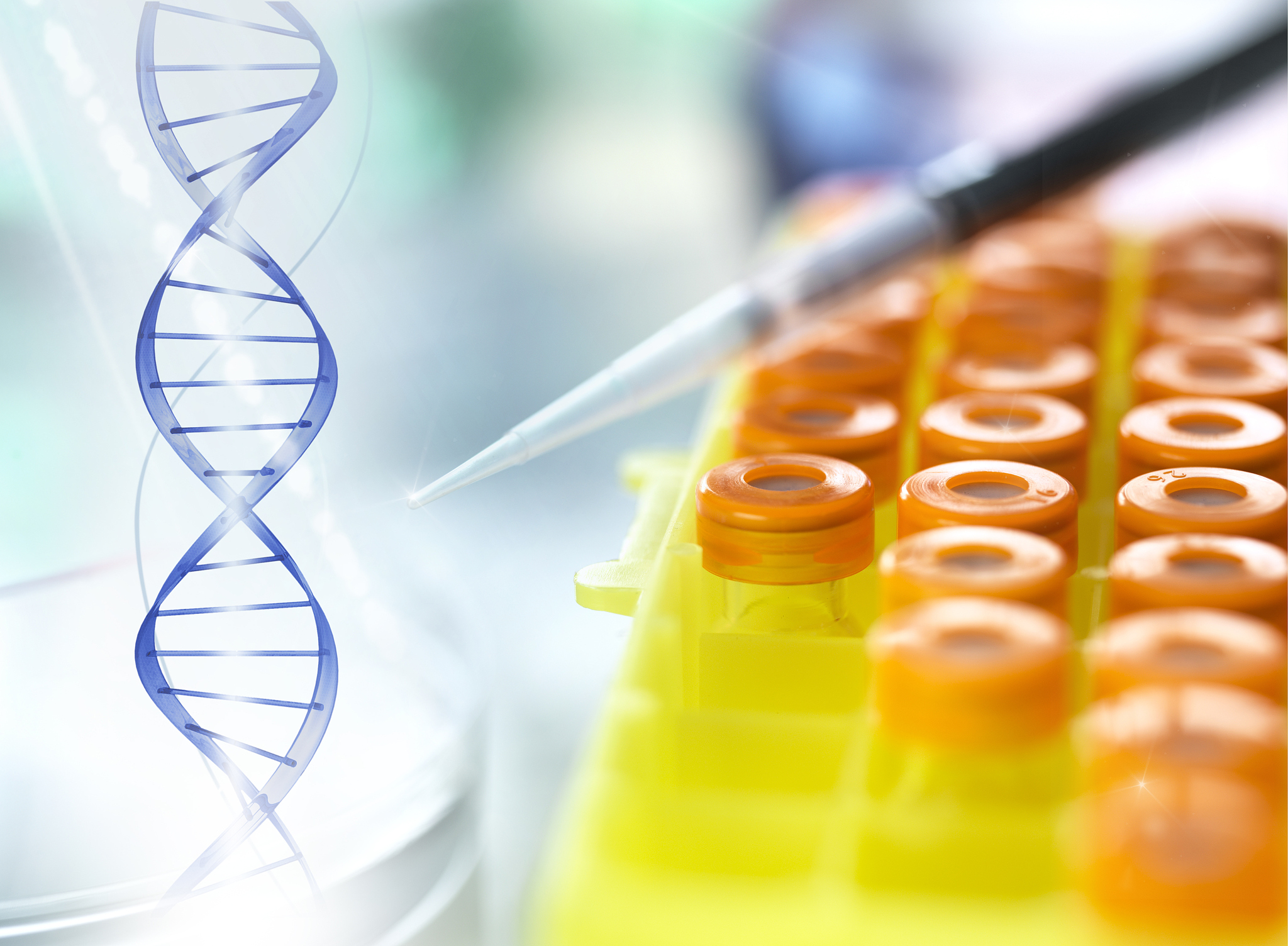 治疗性抗体人源化改造：方法步骤及优势