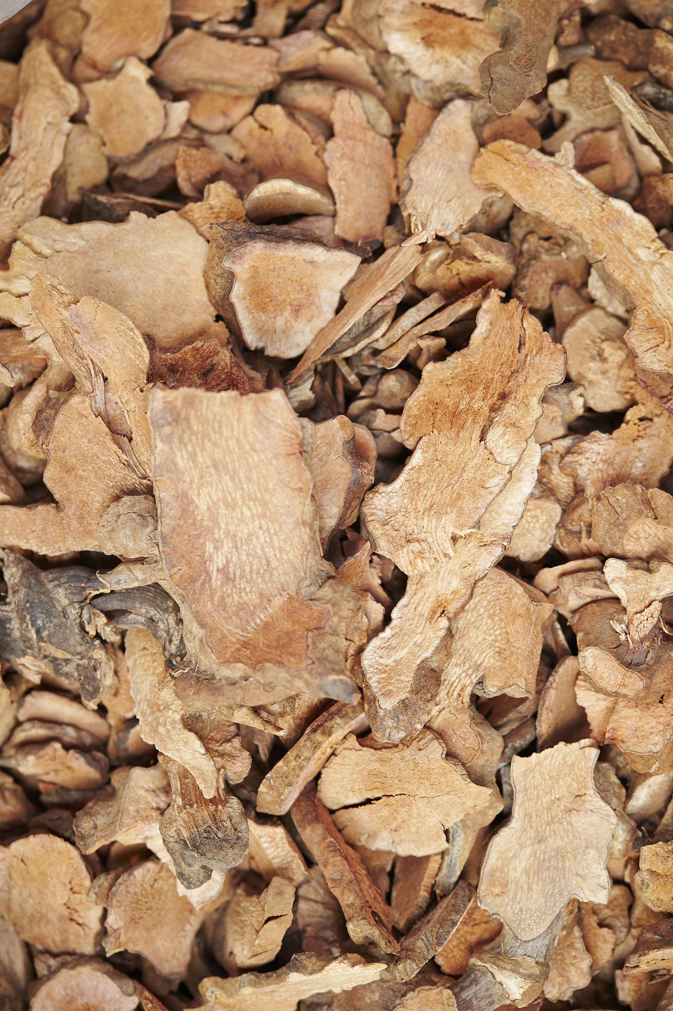 怎么样把一年的实心白术烘制成峰窝状的干白术。