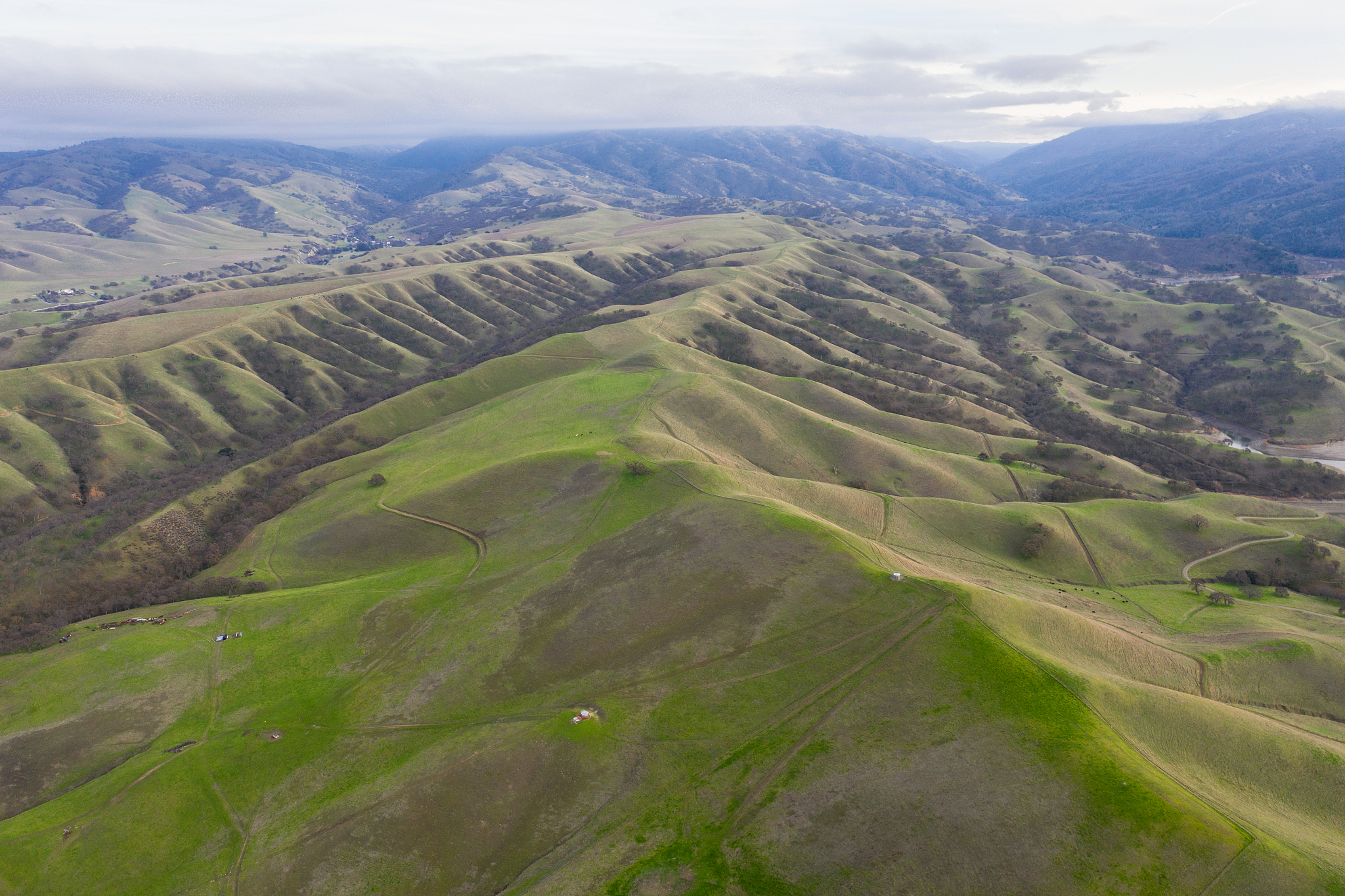 aerial view of green california hills in winter
