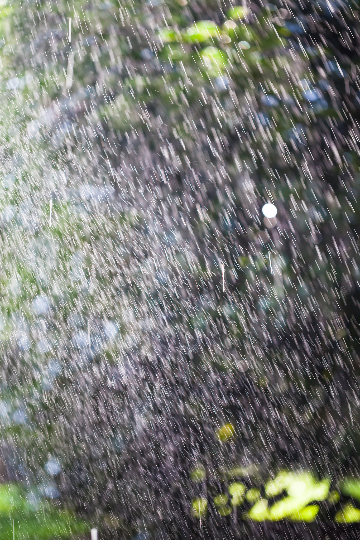 using linkers adverbs and appropriate idioms to make the sentence more fluent and naturalNo I dont enjoy rainy days because I live in Guangzhou and it rains a lot here So I often get drenched when I a