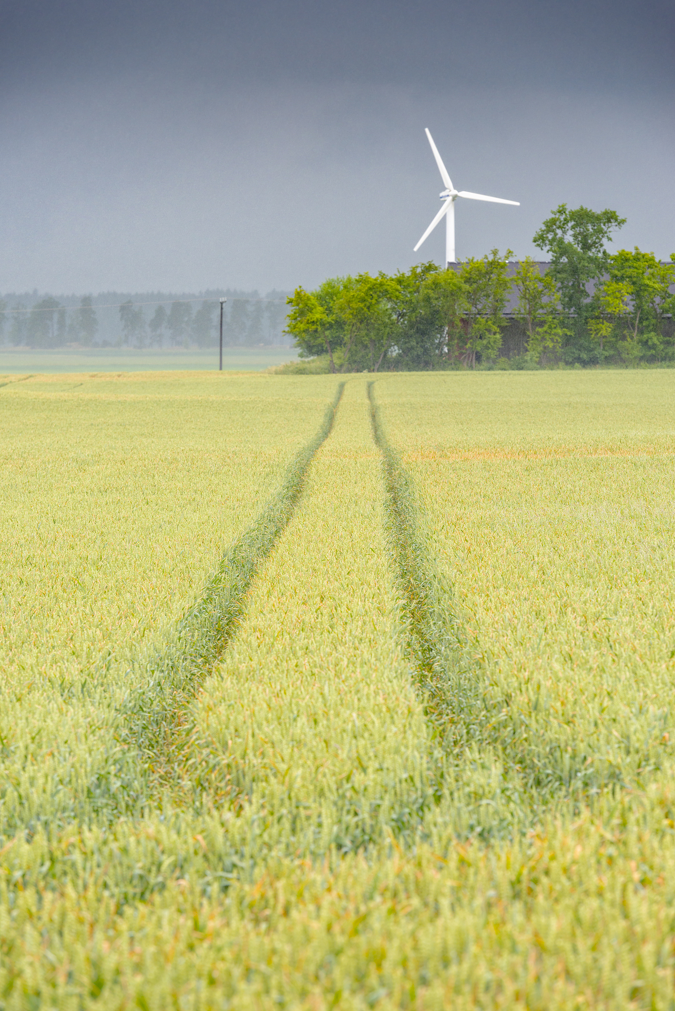 农业区位因素变化：影响、原因及应对
