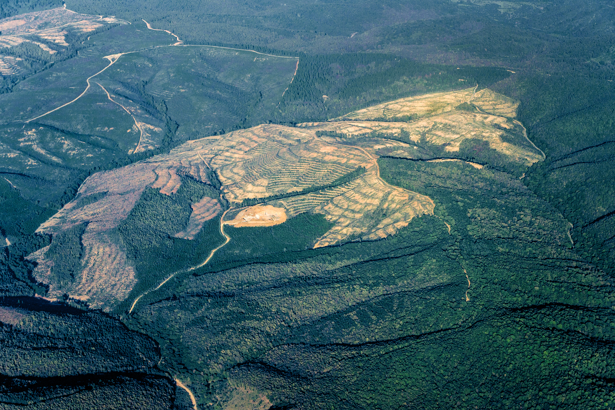 aerial view of countryside