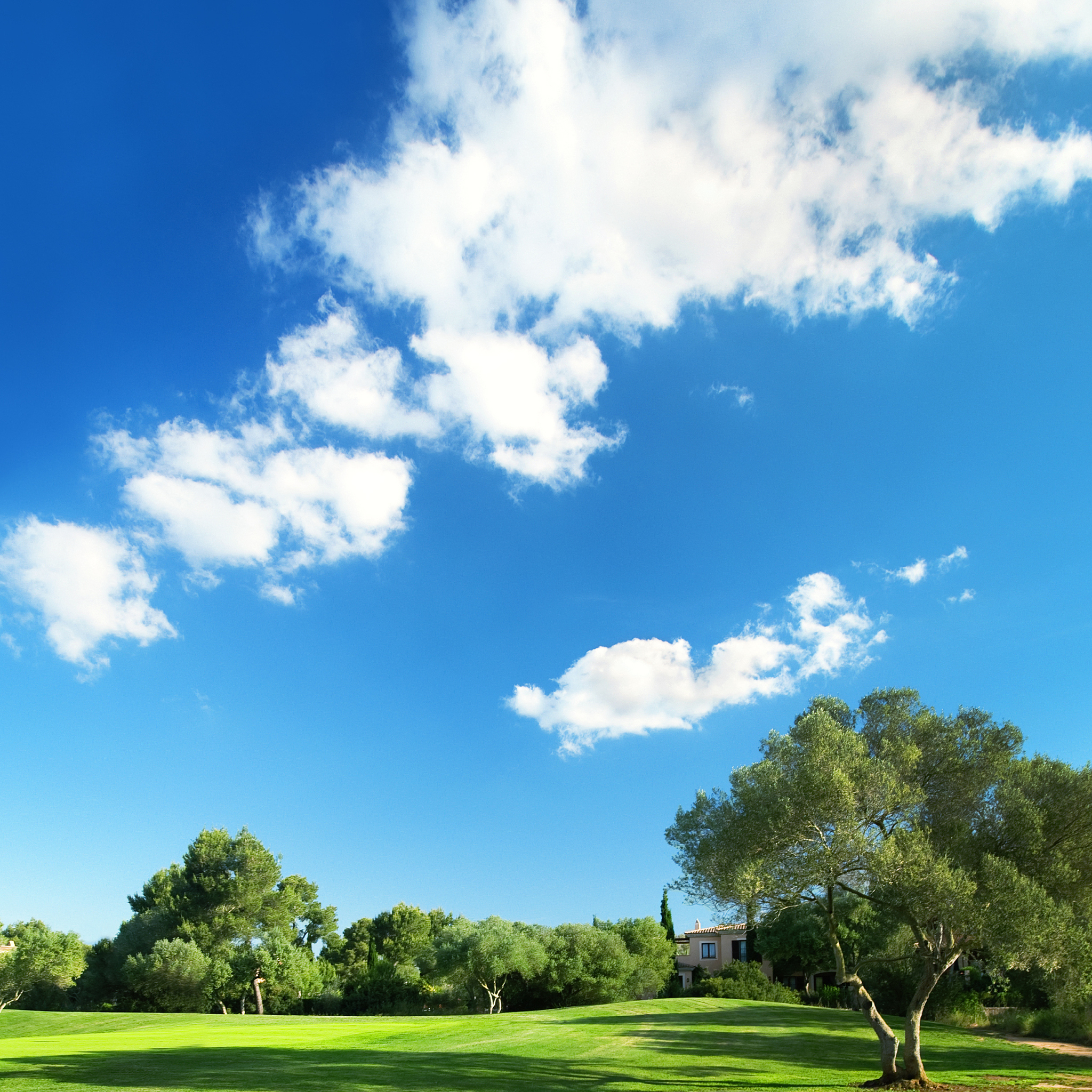 在柔和的阳光下一片宁静的草地上一群白色的鸽子在欢快地飞舞着。天空中飘着几朵白云像是被染上了粉色和橙色的颜色美得令人心醉。草地上散落着一些小花粉色的蔷薇和紫色的勿忘我它们在微风中轻轻摇晃着仿佛在告诉人们这里是一个美好的世界。不远处有一棵高大的柳树树下有一张小桌子和几个花瓶里面插着各种鲜花散发着淡淡的香气。一位穿着白色长裙的女孩坐在桌子旁拿着一本书静静地享受这片美丽的自然风景。她的长发被微风吹动着像是