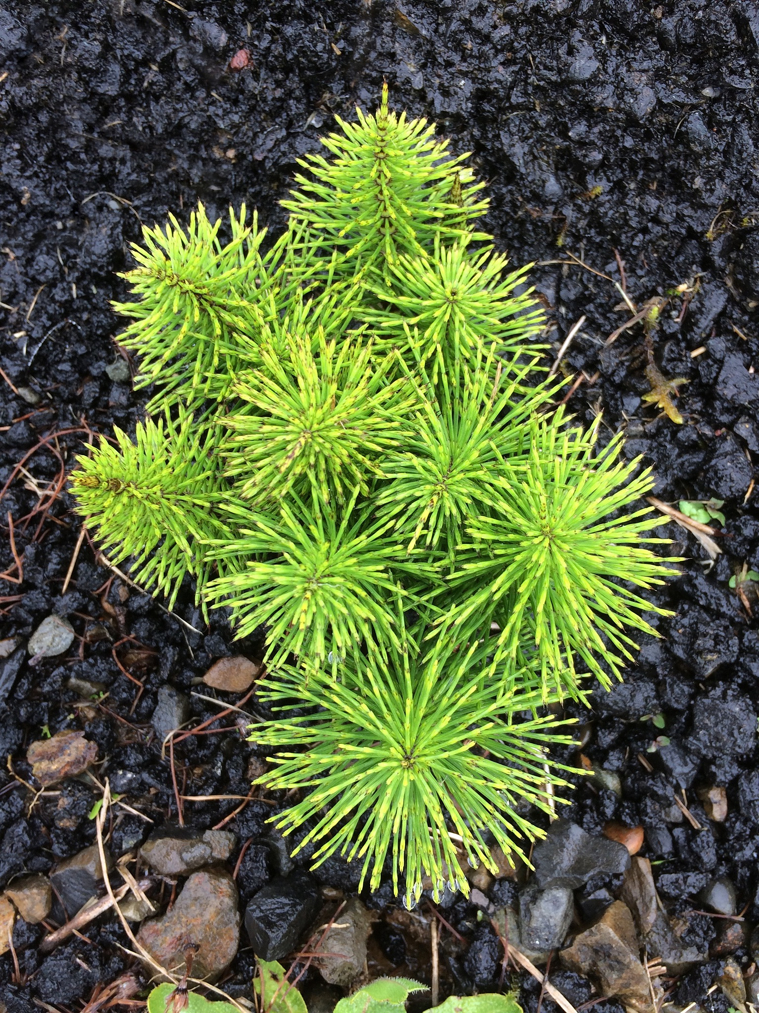 新发展理念：为何坚持？