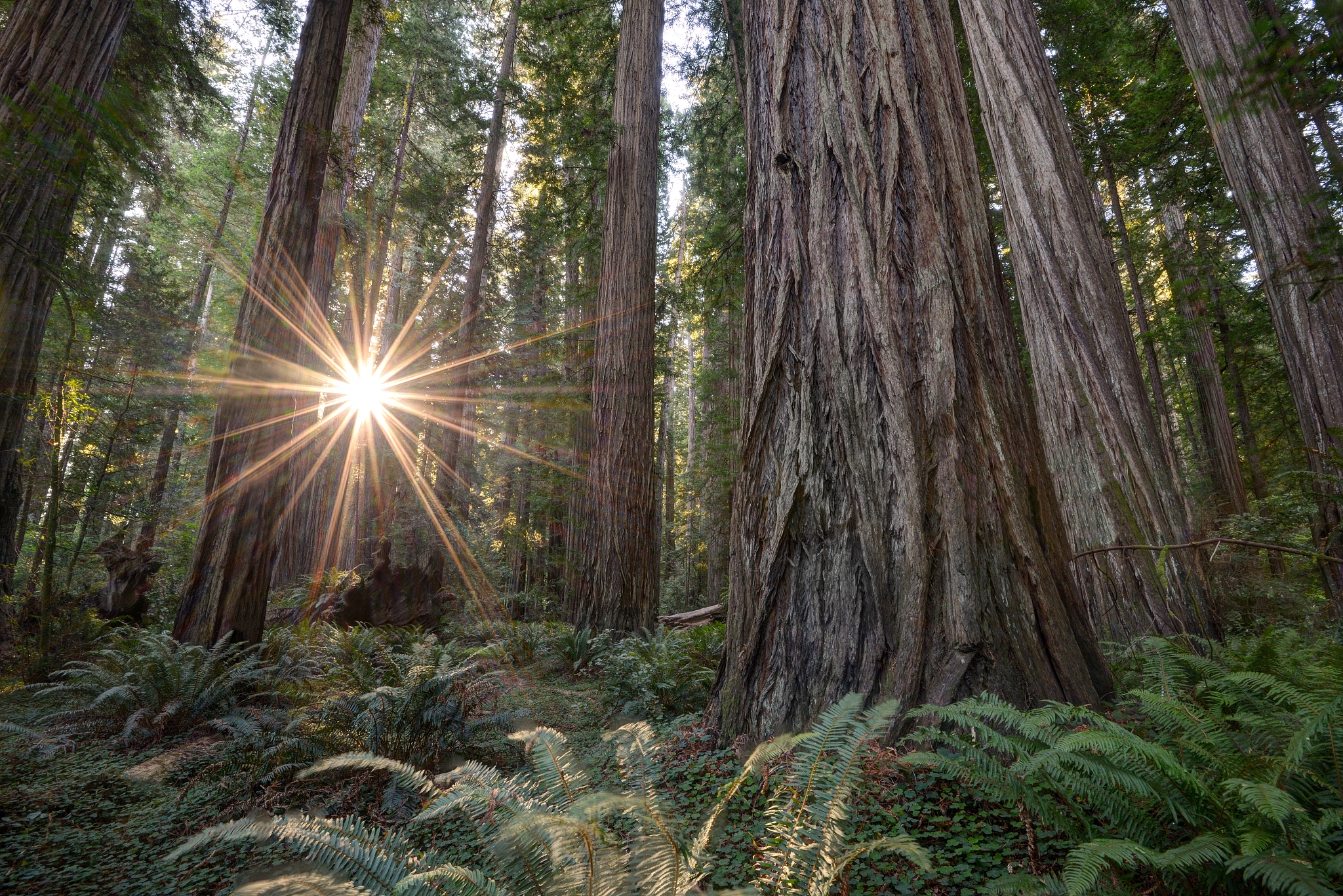 A bean with that name has already been defined in class path resource orgspringframeworkcloudnetflixeurekaEurekaClientAutoConfiguration$RefreshableEurekaClientConfigurationclass and overriding is disa