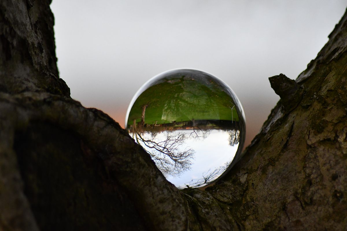 高青学前教育学校轨道运营与管理要满足什么条件