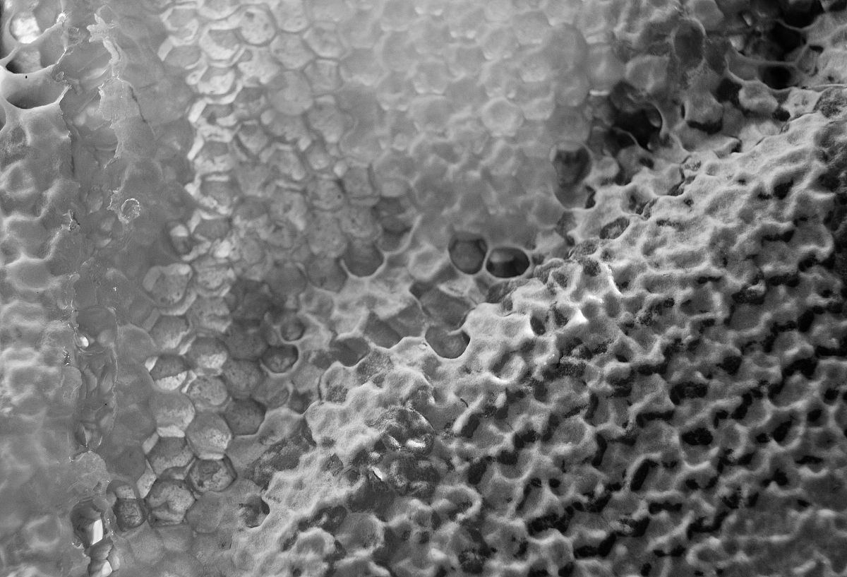 钢铁、钛合金、镁合金、铝合金等传统合金已有很长的发展历史被广泛应用在航天、海洋、汽车、生物等工业领域。