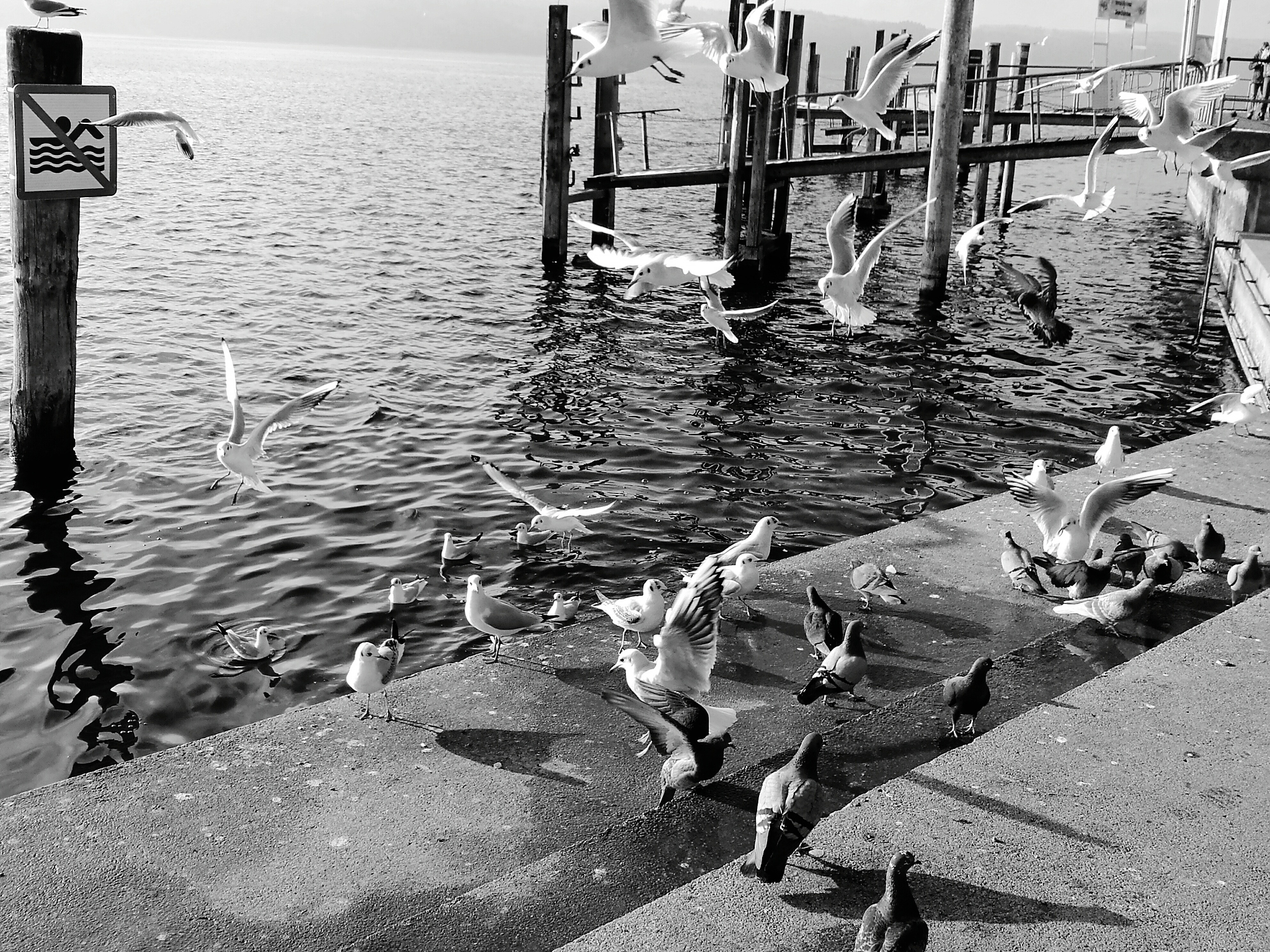 活动二：微评论——排放废水引抗议教学情境日本政府正式决定在2023年将福岛核废水排放入海引发多国抗议。设计意图