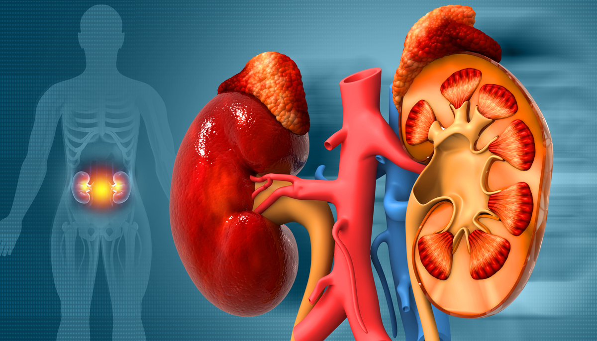 急性肾功能不全：病因、症状、治疗与预防