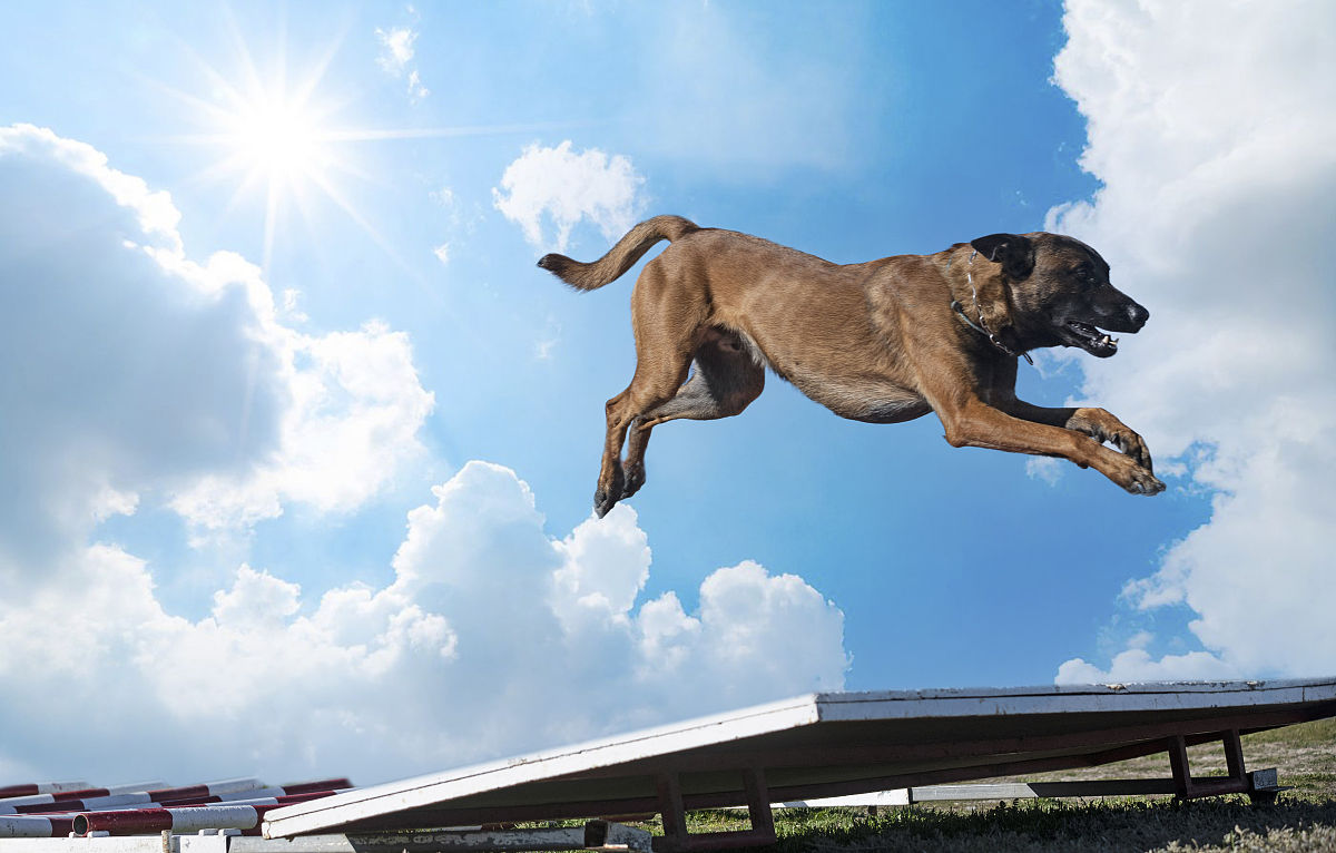 资产评估质量管理计划