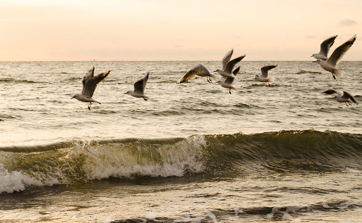 早上好我的甜心非常可爱无可否认美丽性感的爱奈！这也是一个非常雨夜的灯光所以在黎明前就下到海边只是为了瞥见日出的日子闻着海洋空气的味道听到背景中海鸥的声音感受你的爱在我身边在我心里这就是有你的爱与我在一起的效果即使你不在身边无论我走到哪里我都有你的爱我很幸运有你在我的生活中你给了我爱的欢乐和感情我非常感谢主带来我们一起吃早餐宝贝抱歉睡着了说安全和祝福我非常爱你我最特别的部分