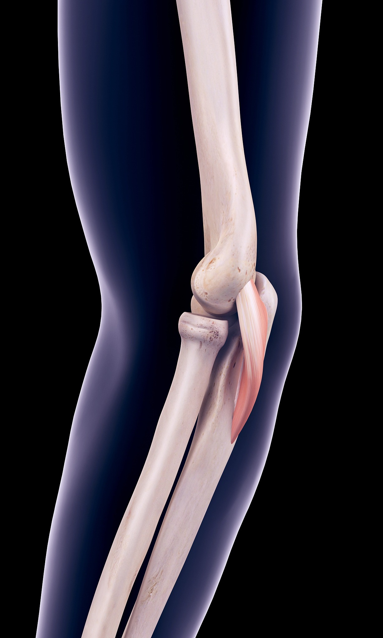 180的男生标准体重是多少