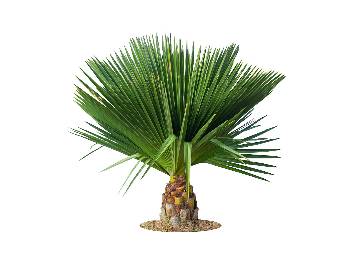 。1、关注云南山歌这种公共产品的属性及其判断。。2、结合一个具体的案例分析该公共产品的供给模式、公众需求评价供给与需求的匹配以公共经济学为基础写一份公共产品多元供给公众需求供给与需求匹配性问题的调研报告3000字左右