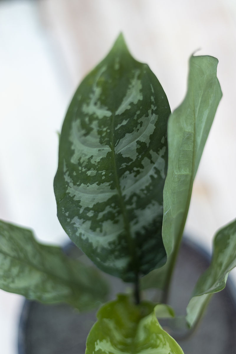 2023年南昌有哪些民办技校好不好