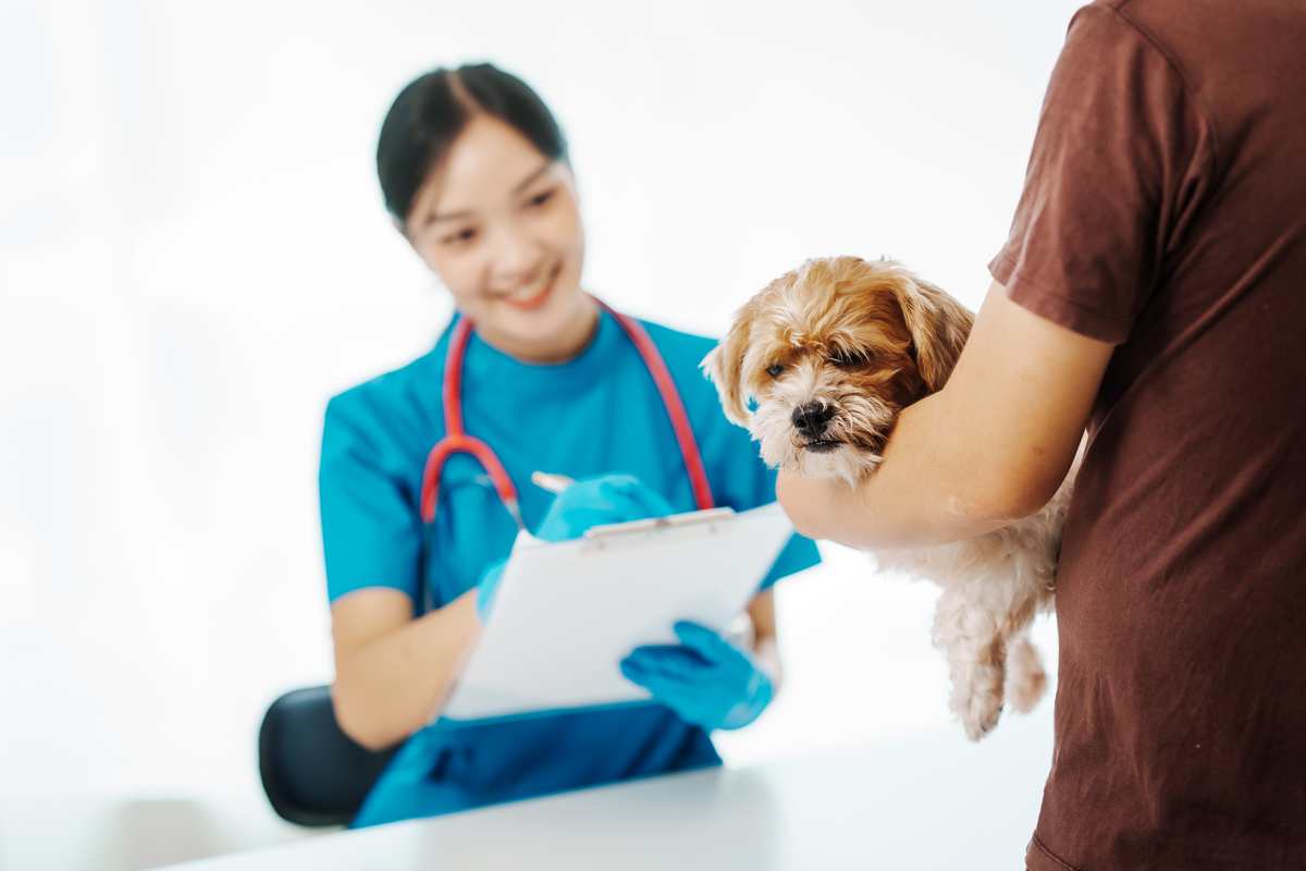 畜牧兽医专业就业方向好吗