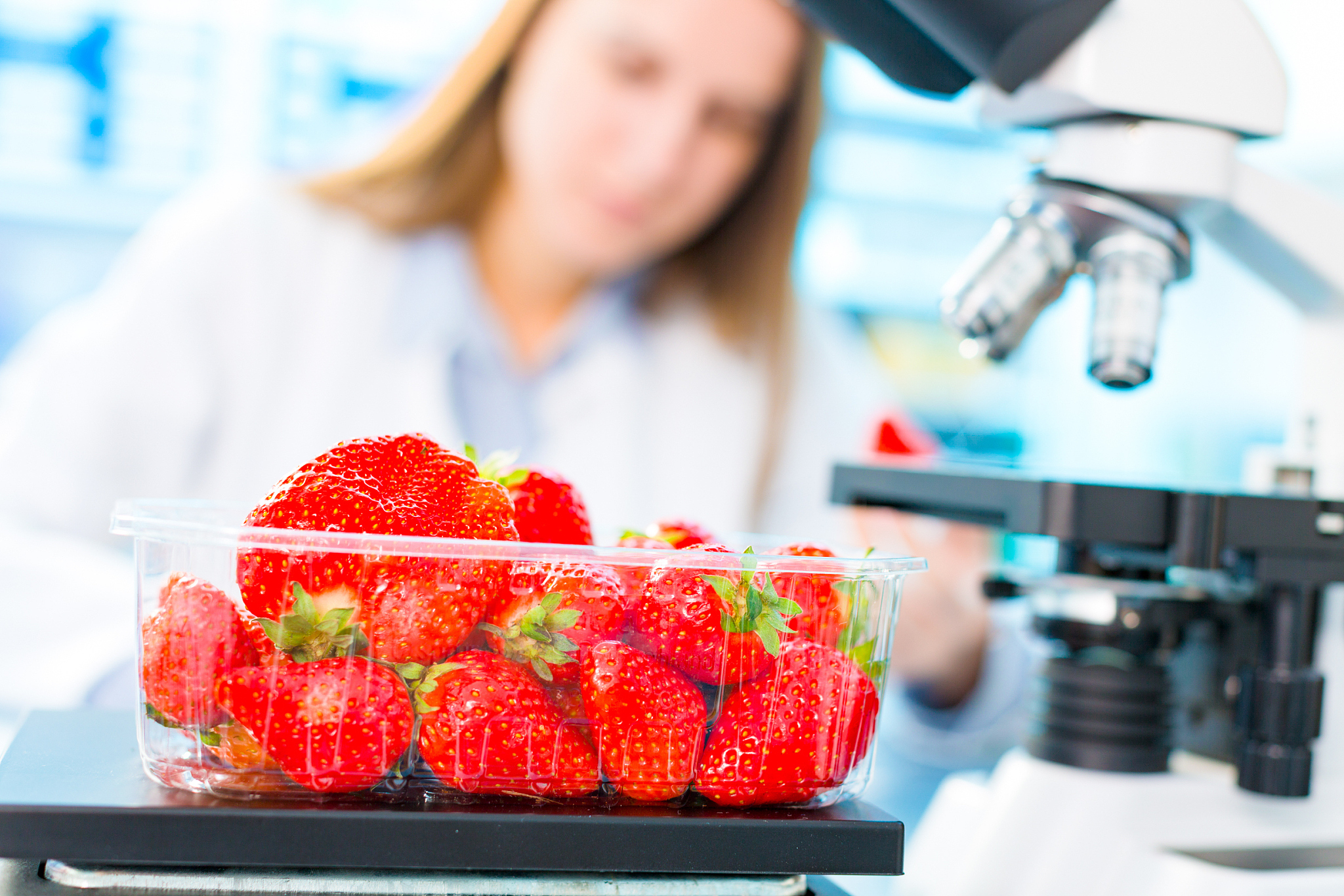 福建农林大学食品科学与工程专业怎么样？就业前景、课程设置及学习体验