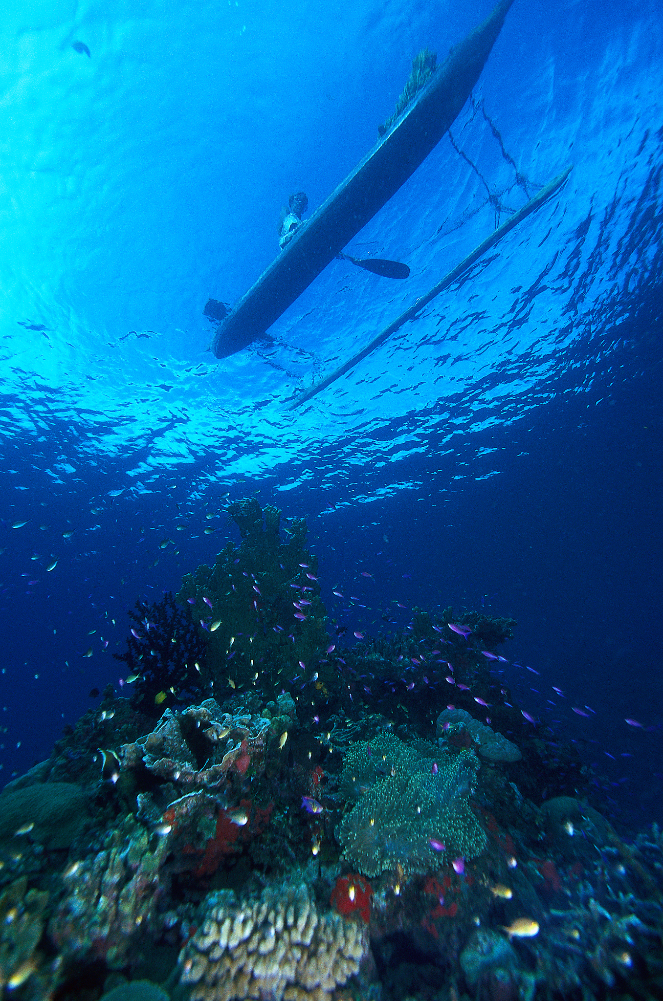 outrigger canoe, milne bay, papua new guinea