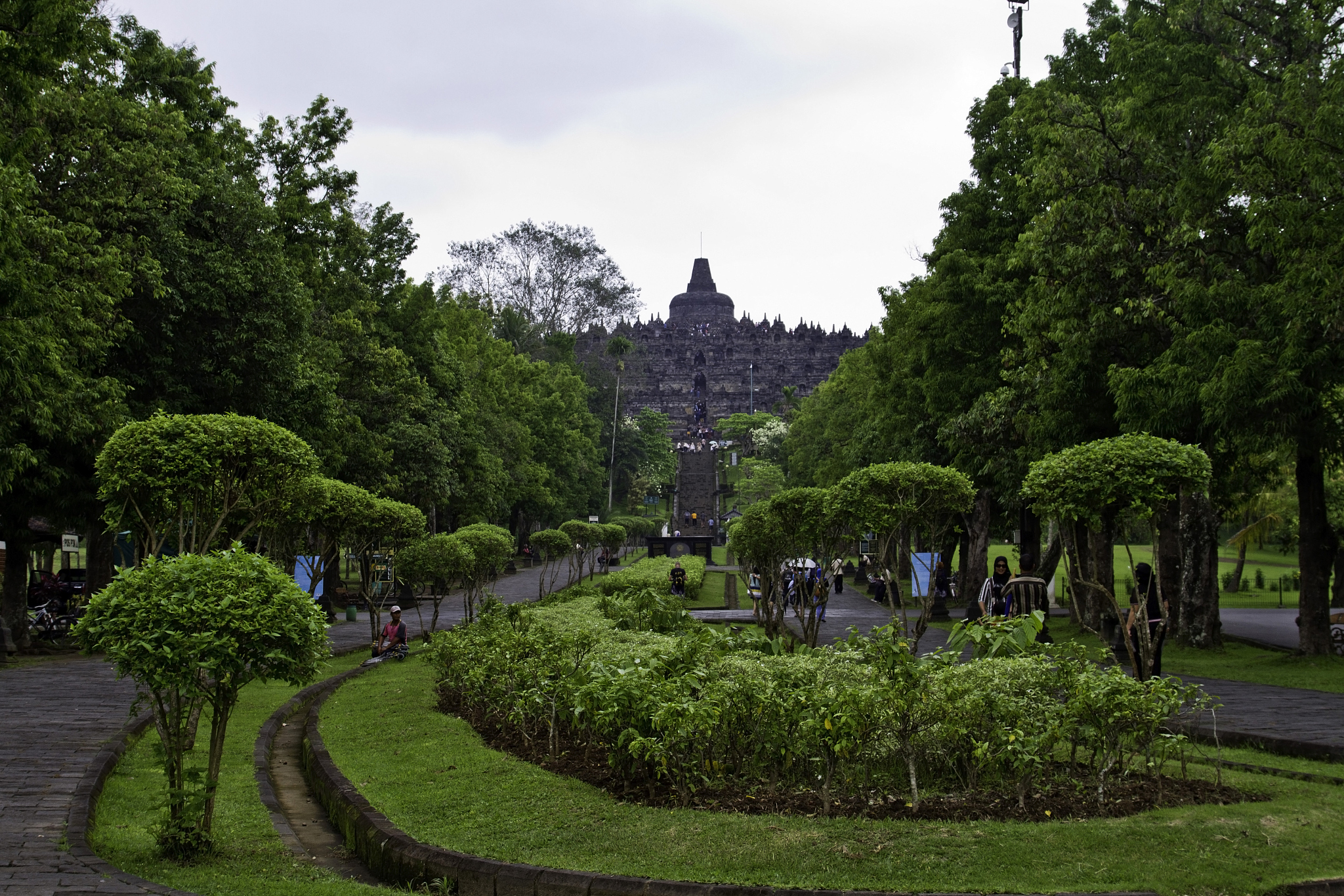 15天Java实习日记：从基础到实战