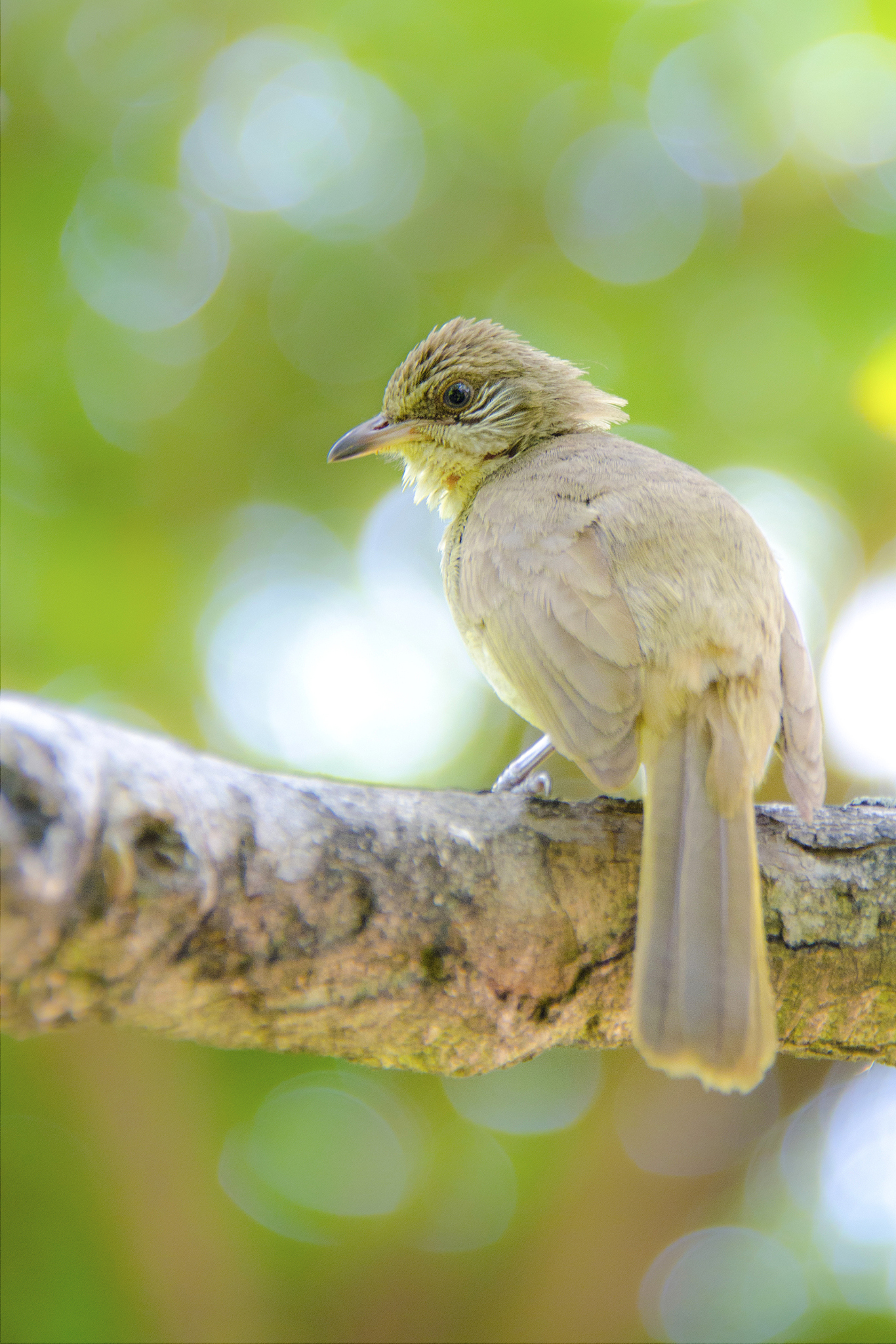公园一日游：观察自然与生活的美好