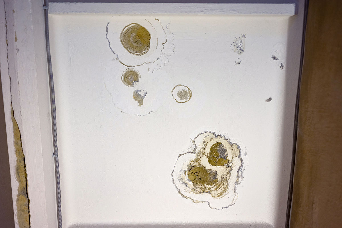 1、搭建渗透测试目标环境并编写渗透测试报告2、其他实践总结报告 例如：漏洞利用及漏洞复现使用shodan API做二次开发使用set工具集搭建网络钓鱼