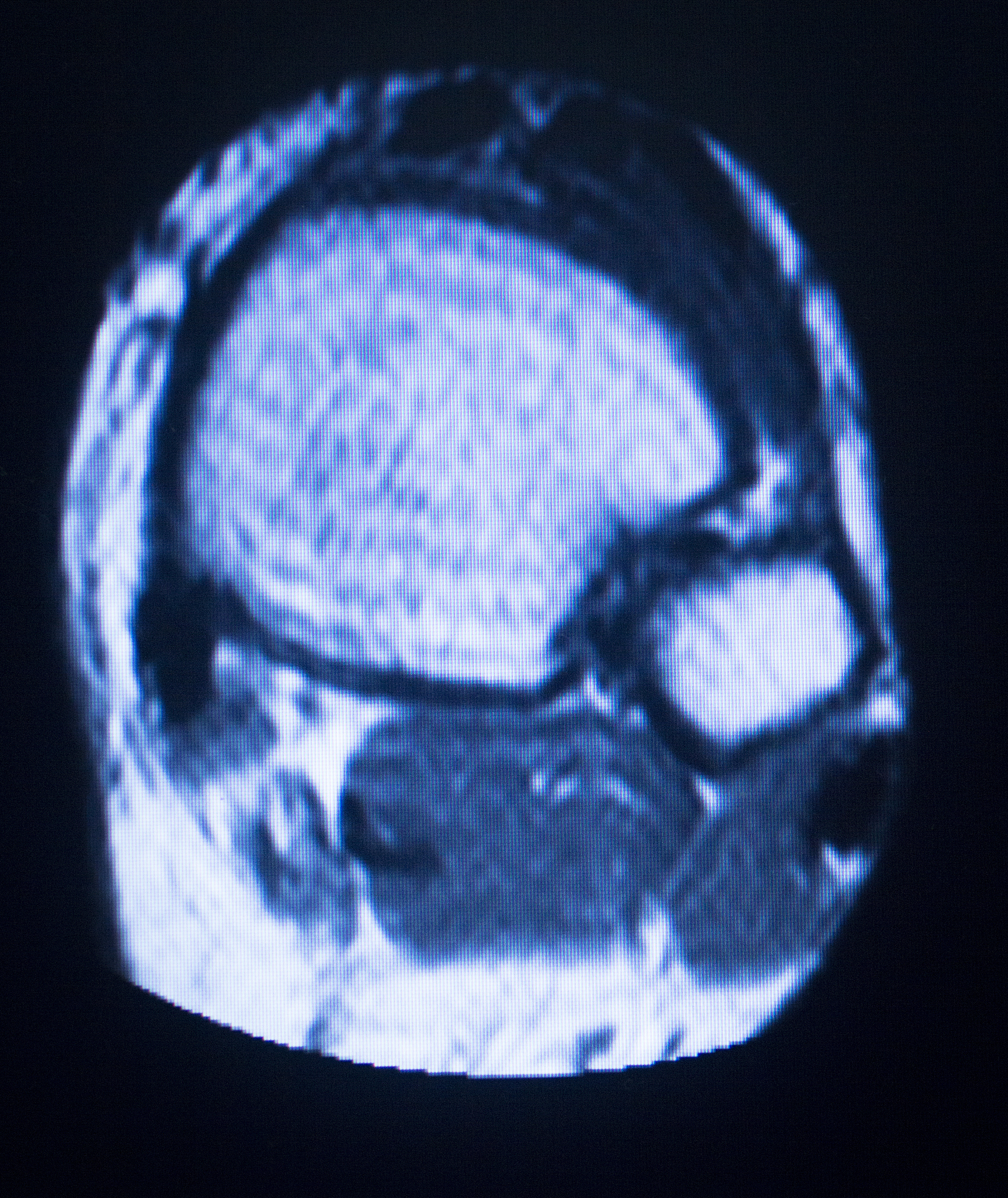 武威职业学院医学系药学专业招生对象与就业前景