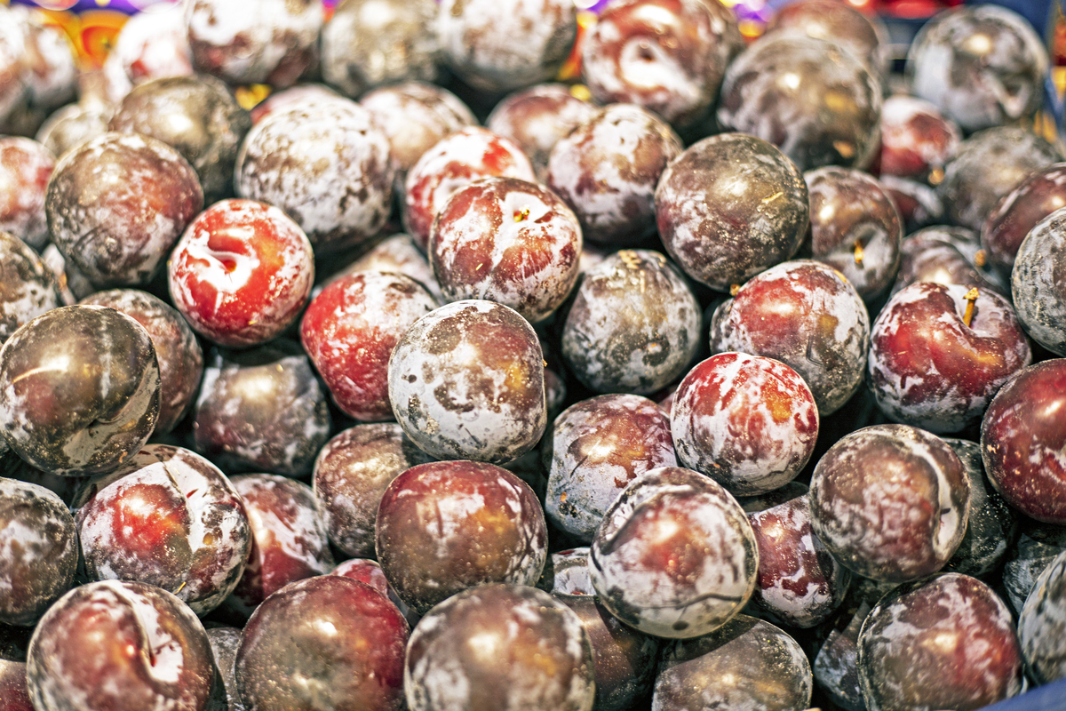 李子软了还能吃吗？软李子的处理方法！