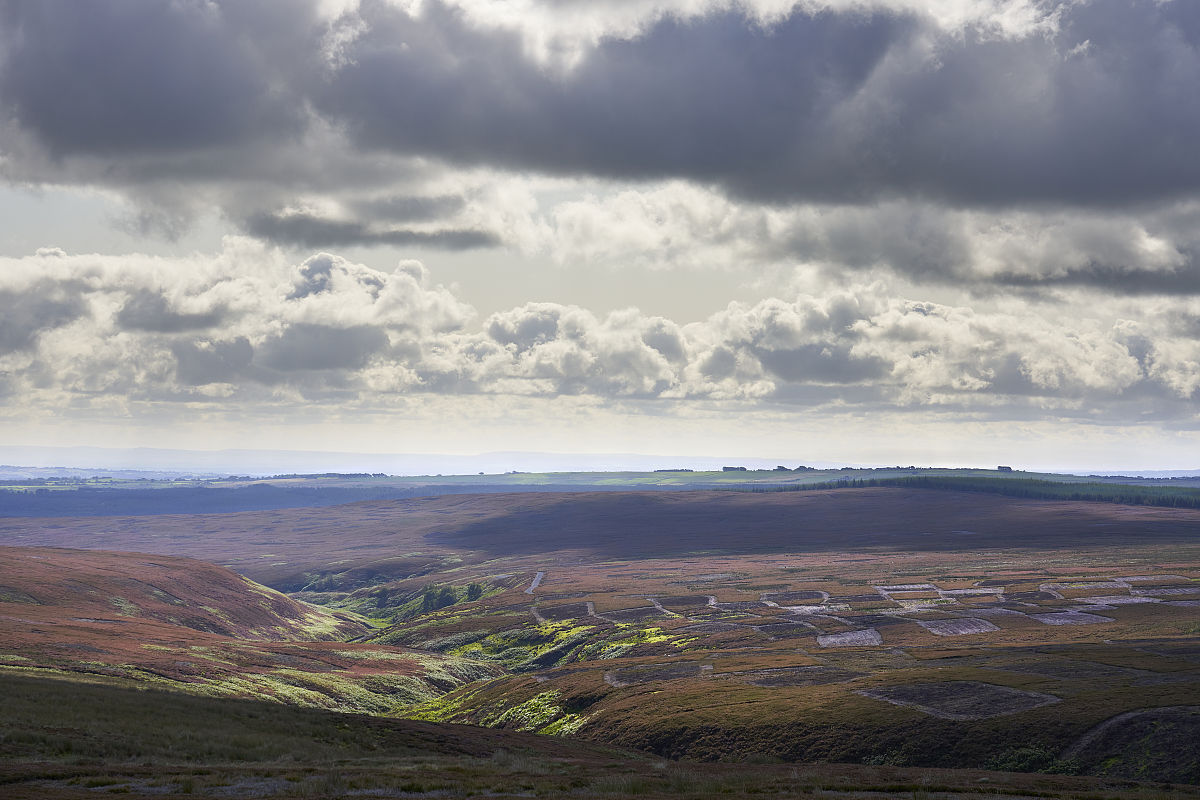 女生学土地资源管理专业好吗？2023就业前景分析