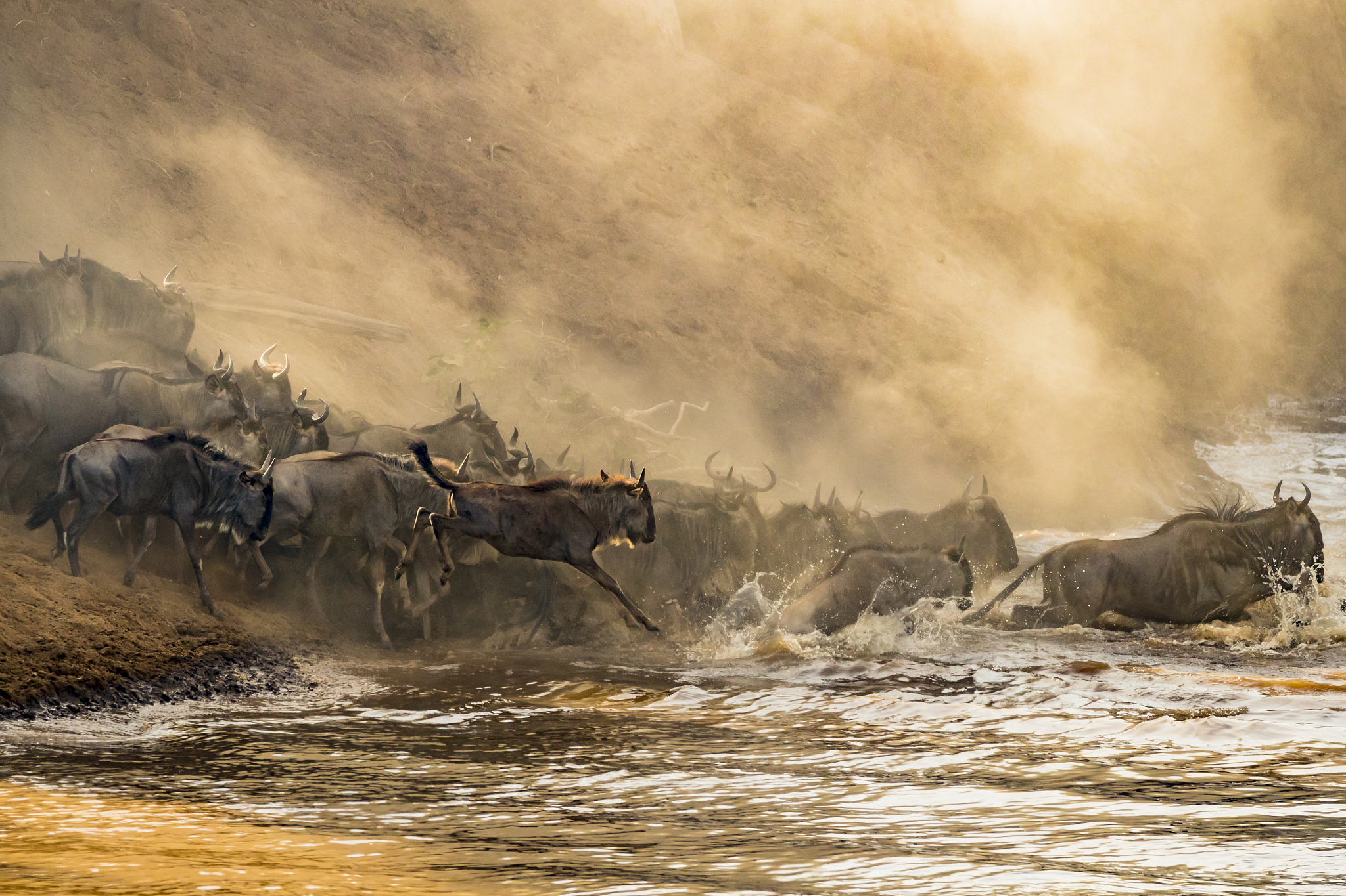 great migration
