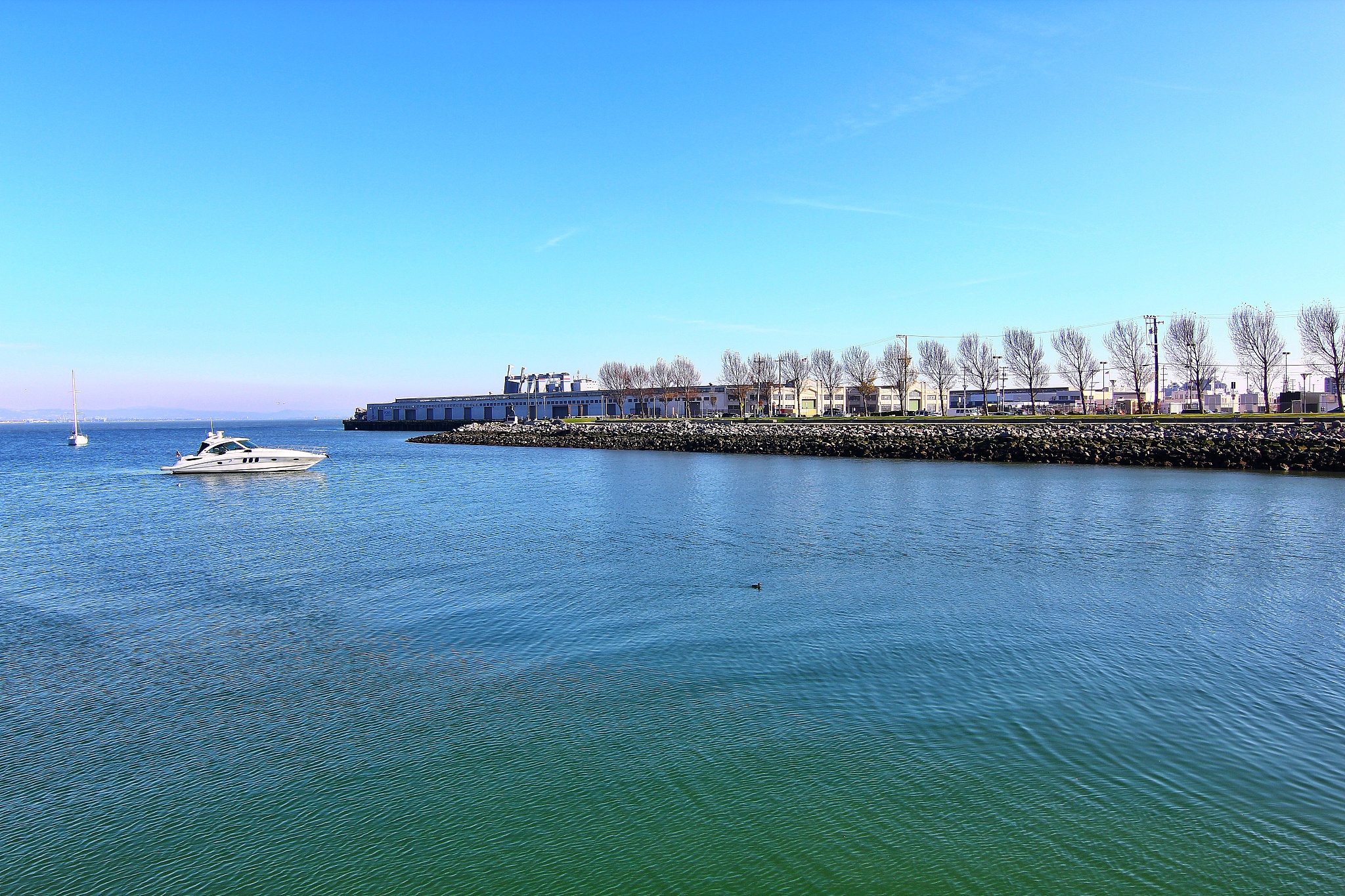 scenic view of mccovey cove bay with blue sky on a sunny day, sa