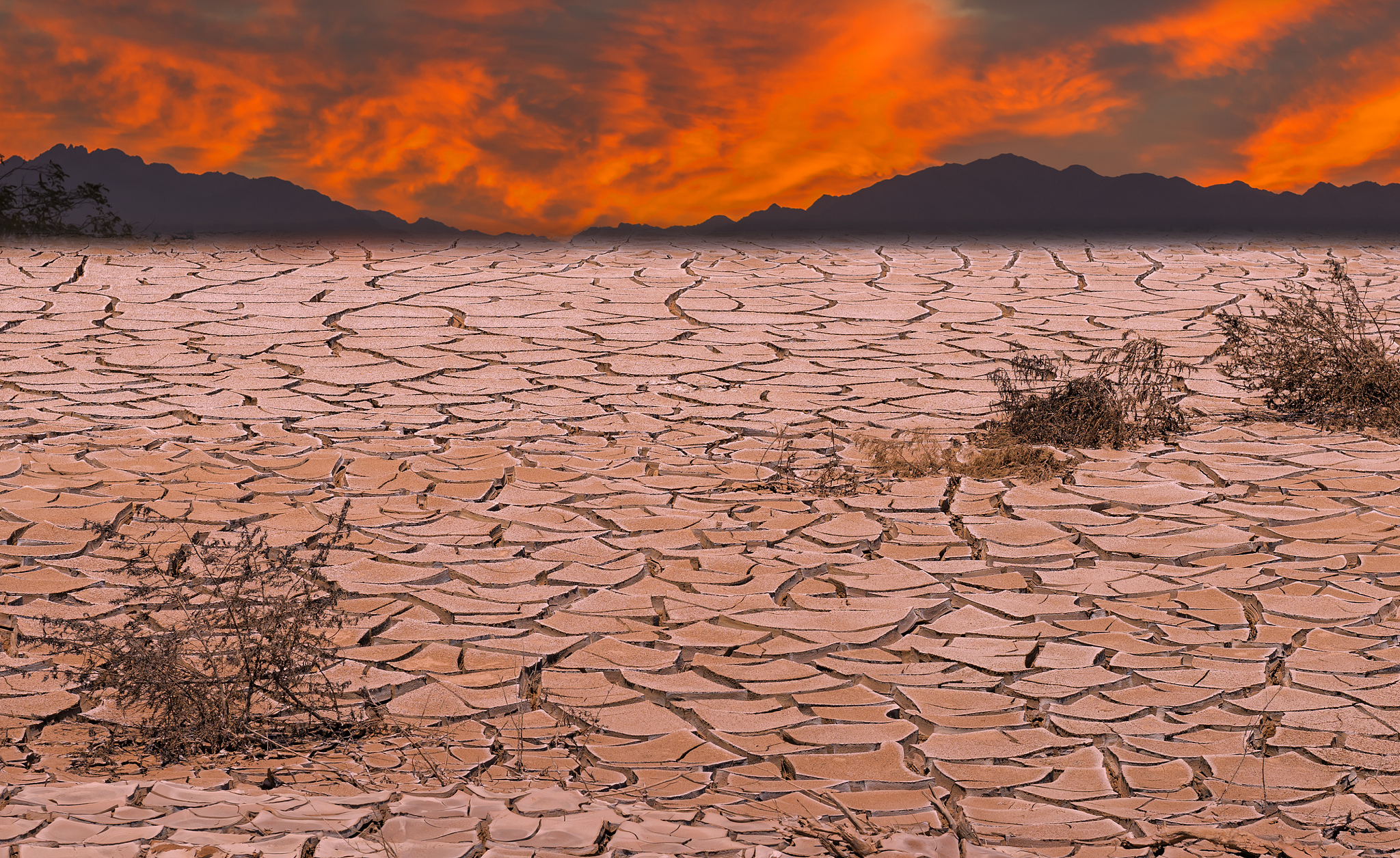 在全球变暖背景下许多研究表明倒春寒发生的日期在显著的提前文献。在我们的研究中我们也发现大部分区域发生倒春寒的日期是在提前的SI。但也有少部分区域发生倒春寒的日期在推迟。这可能是由于该地区特殊的地理环境或气候条件所导致的。翻译