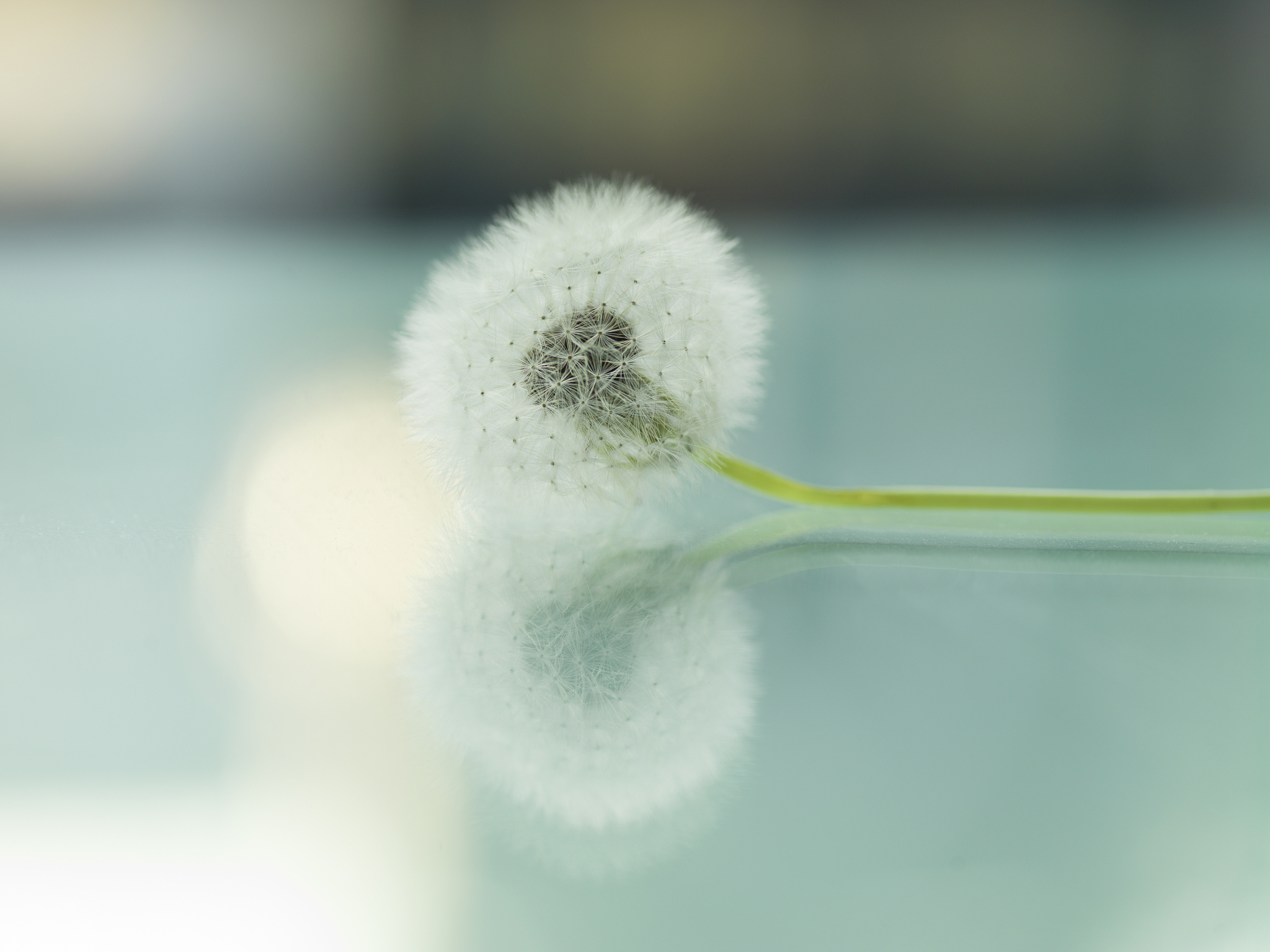 辽东学院种子科学与工程专业课程