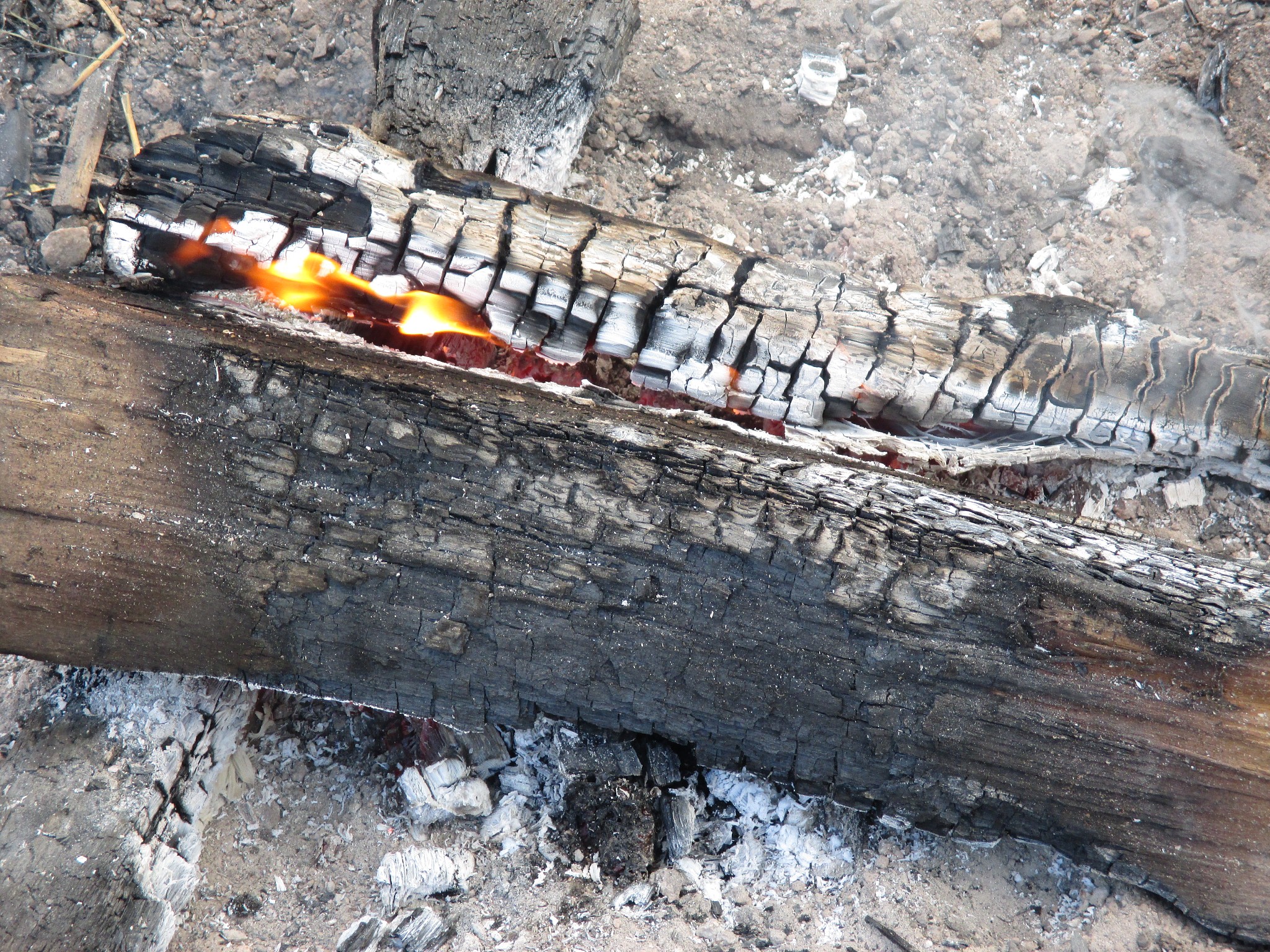 Fire-Induced Concrete Cracking in Immersed Tunnels: Experimental Investigation and Depth Analysis