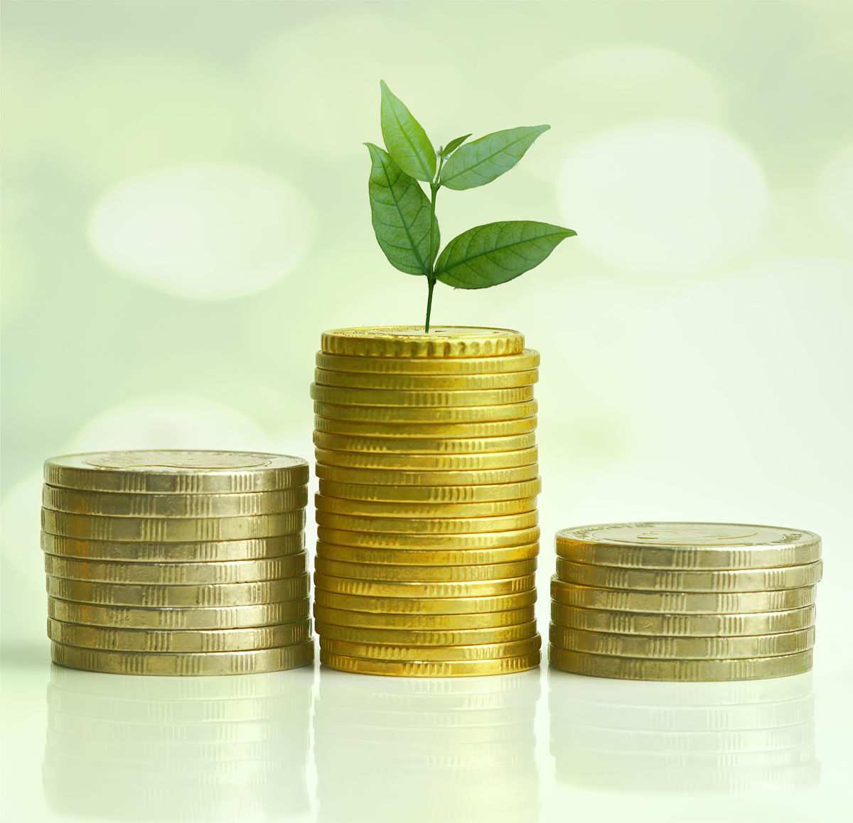 郑州金融学校2022年有那些专业