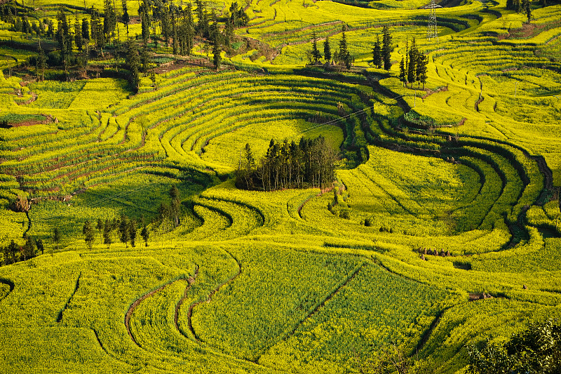 云南曲靖农校2019年五年制普通高职专科招生报名电话