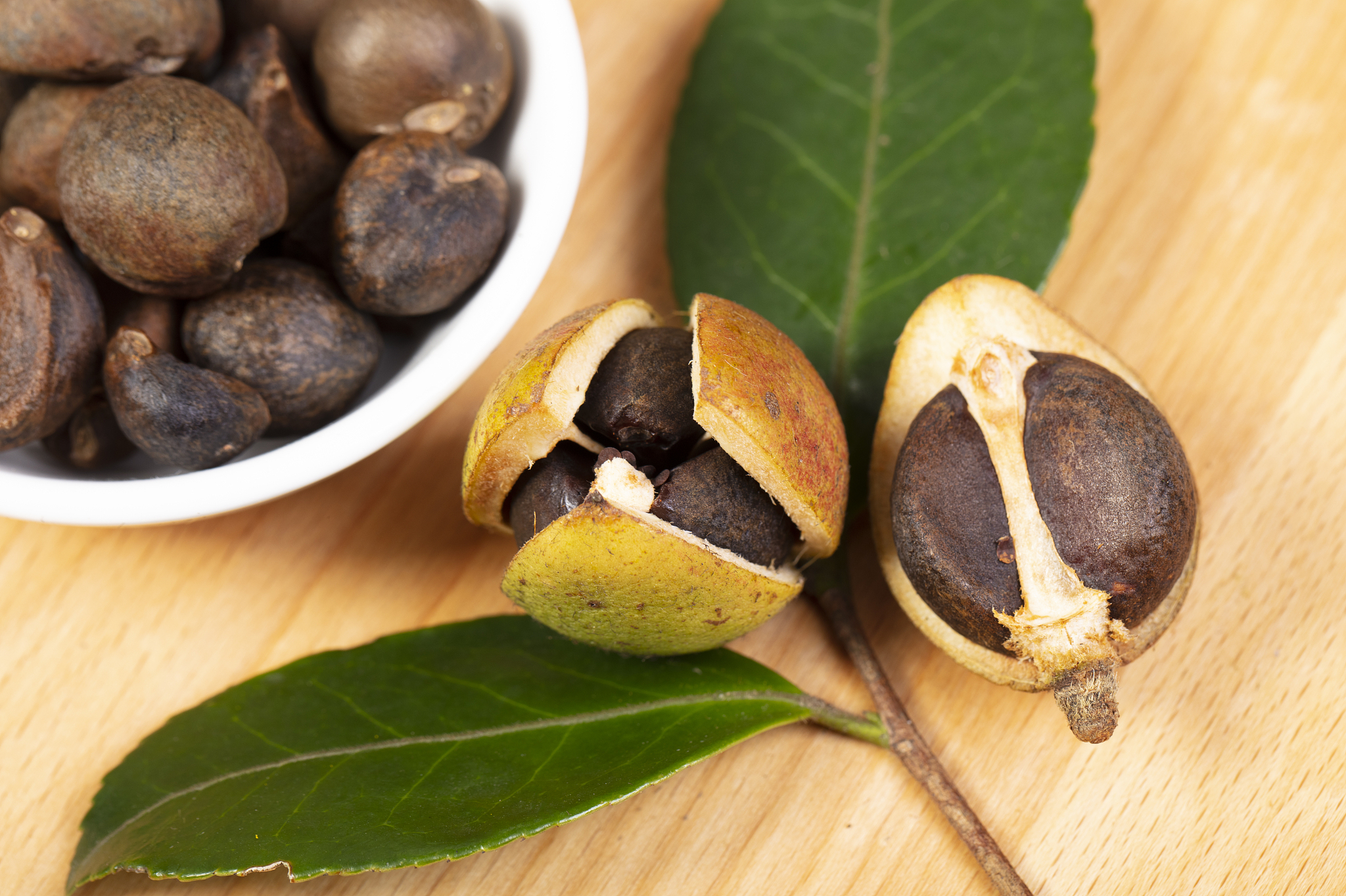 分别简短的介绍银杏、油茶、板栗的主要价值