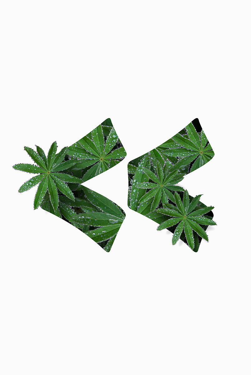 中文句号放在引号里还是外面？