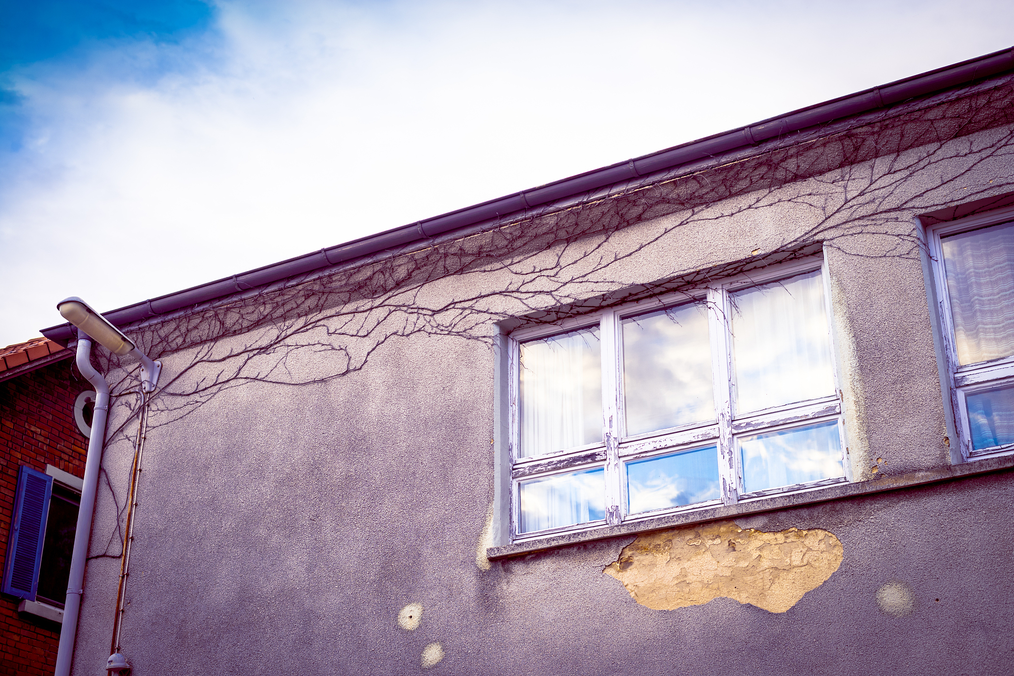 翻译Ethnographers should strive to obtain an insider or emic not an outsider or etic perspective Pike 1967 p 8 and they must distance themselves from their prior expectations in order to be able to appr